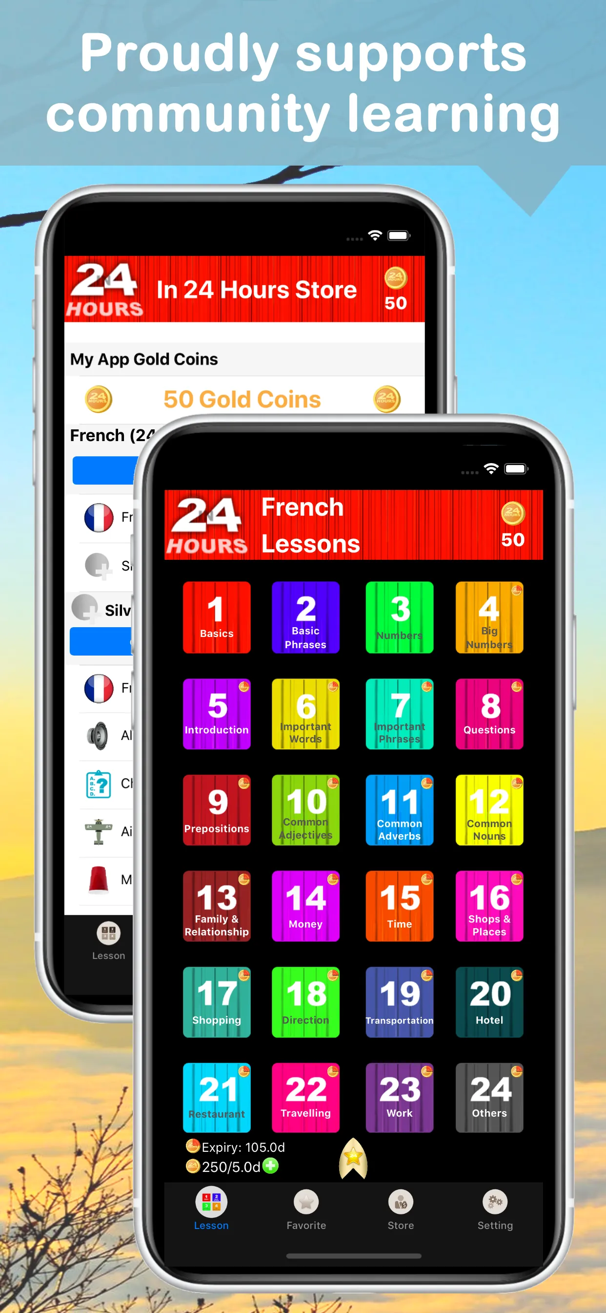 In 24 Hours Learn French iphone screenshot 1