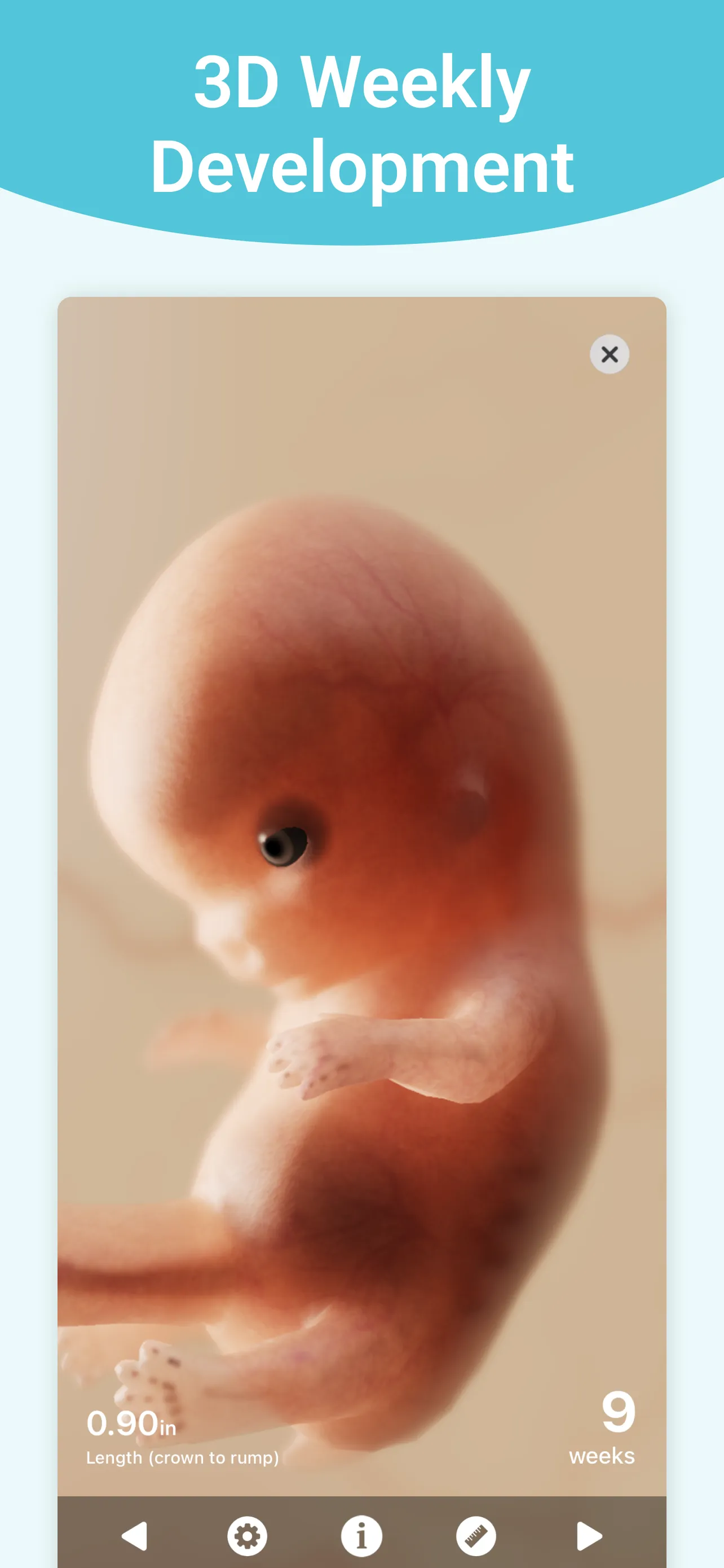 Pregnancy + | Tracker App iphone screenshot 6