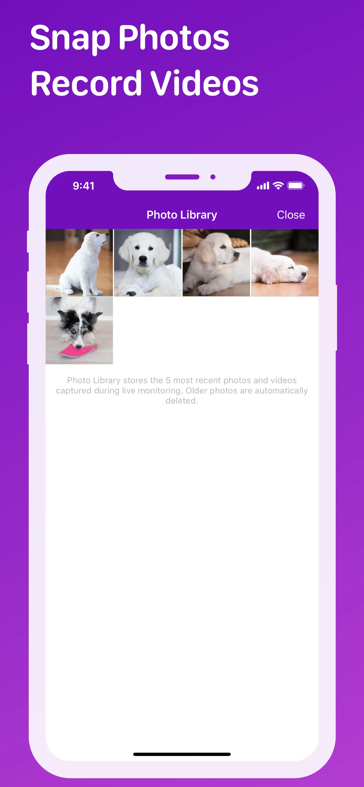 Pet Monitor VIGI iphone screenshot 9