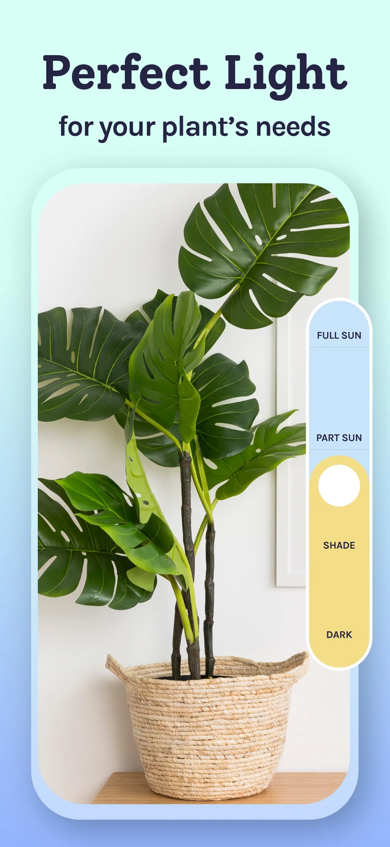 Plant Identifier, Care: Planty iphone screenshot 6
