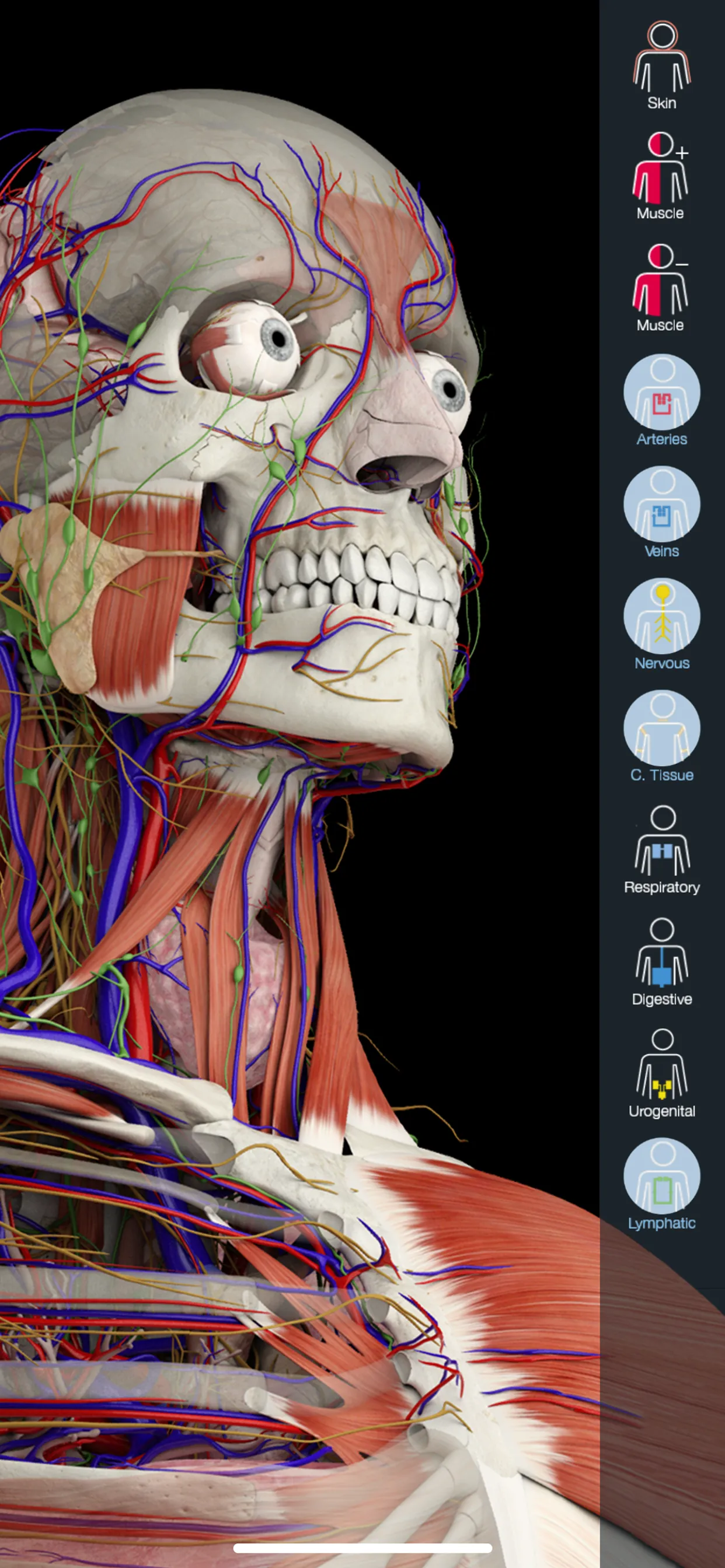 Essential Anatomy 5 iphone screenshot 1