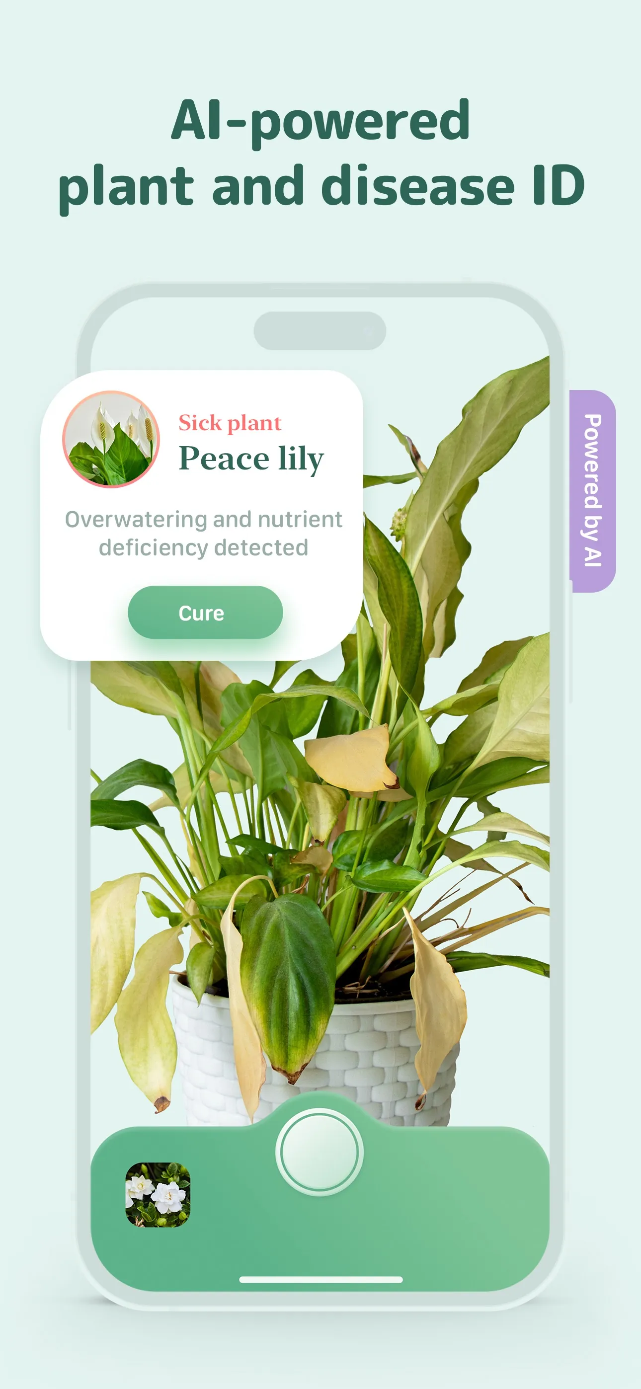 Blossom - Plant Care Guide iphone screenshot 5