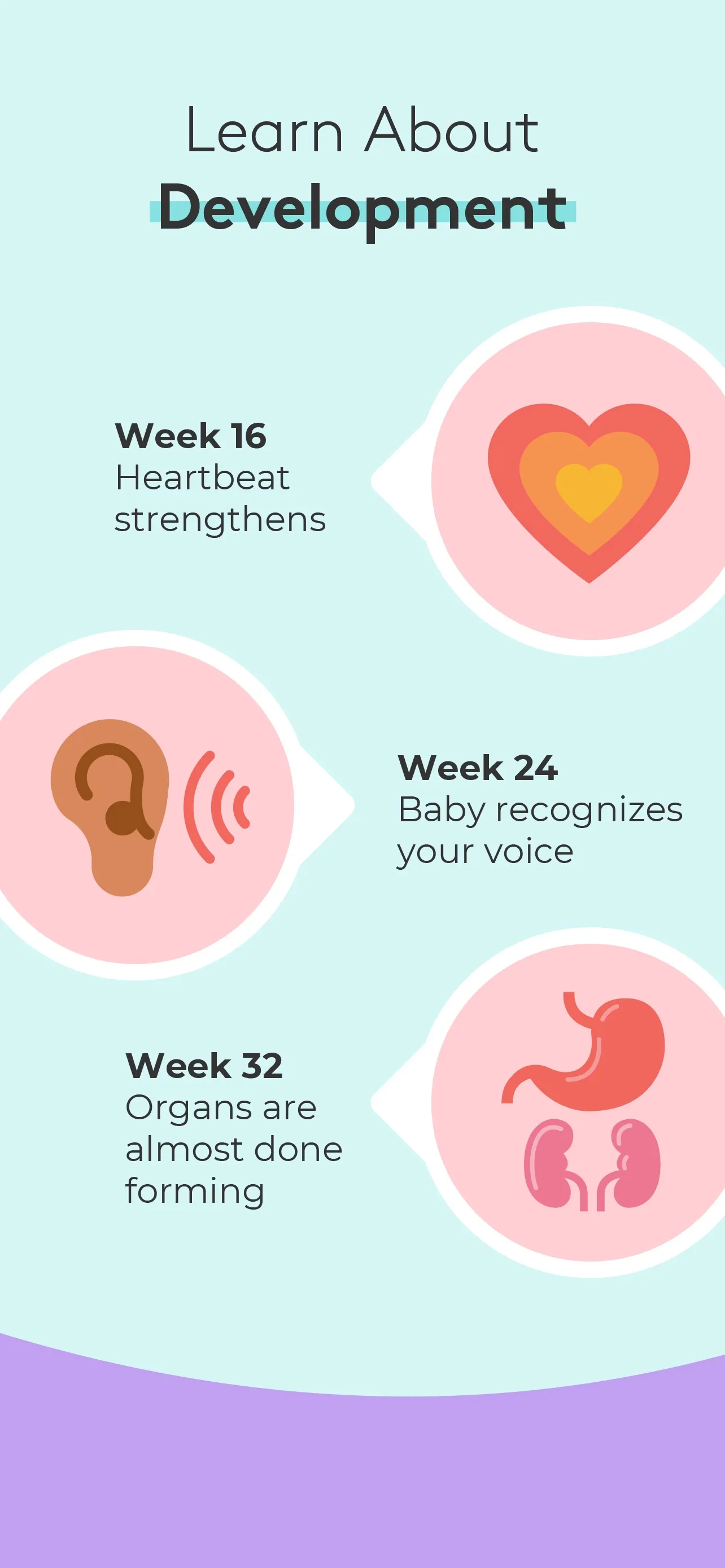 Pregnancy & Baby Tracker - WTE iphone screenshot 5