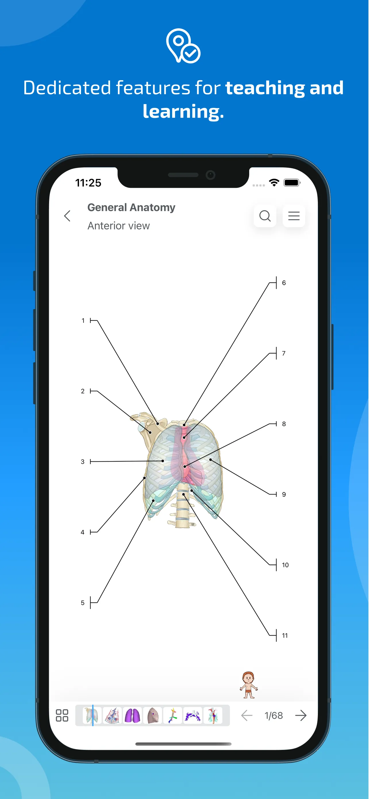 IMAIOS e-Anatomy iphone screenshot 8