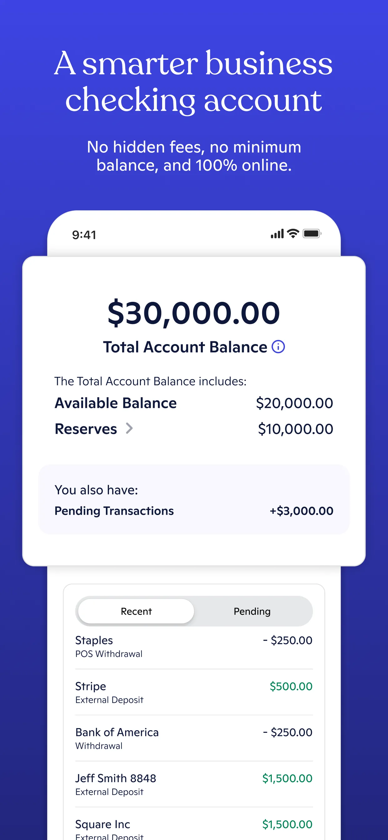 Novo - Small Business Checking iphone screenshot 1