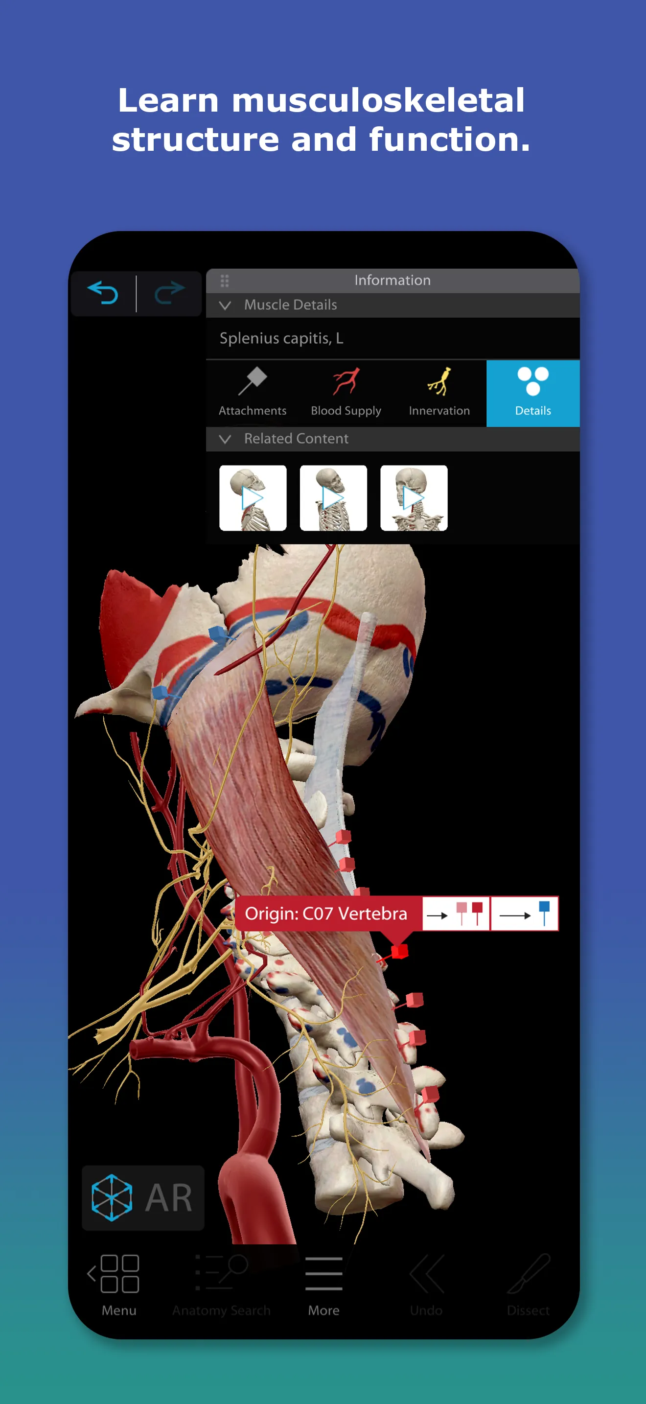 Human Anatomy Atlas 2026 iphone screenshot 4
