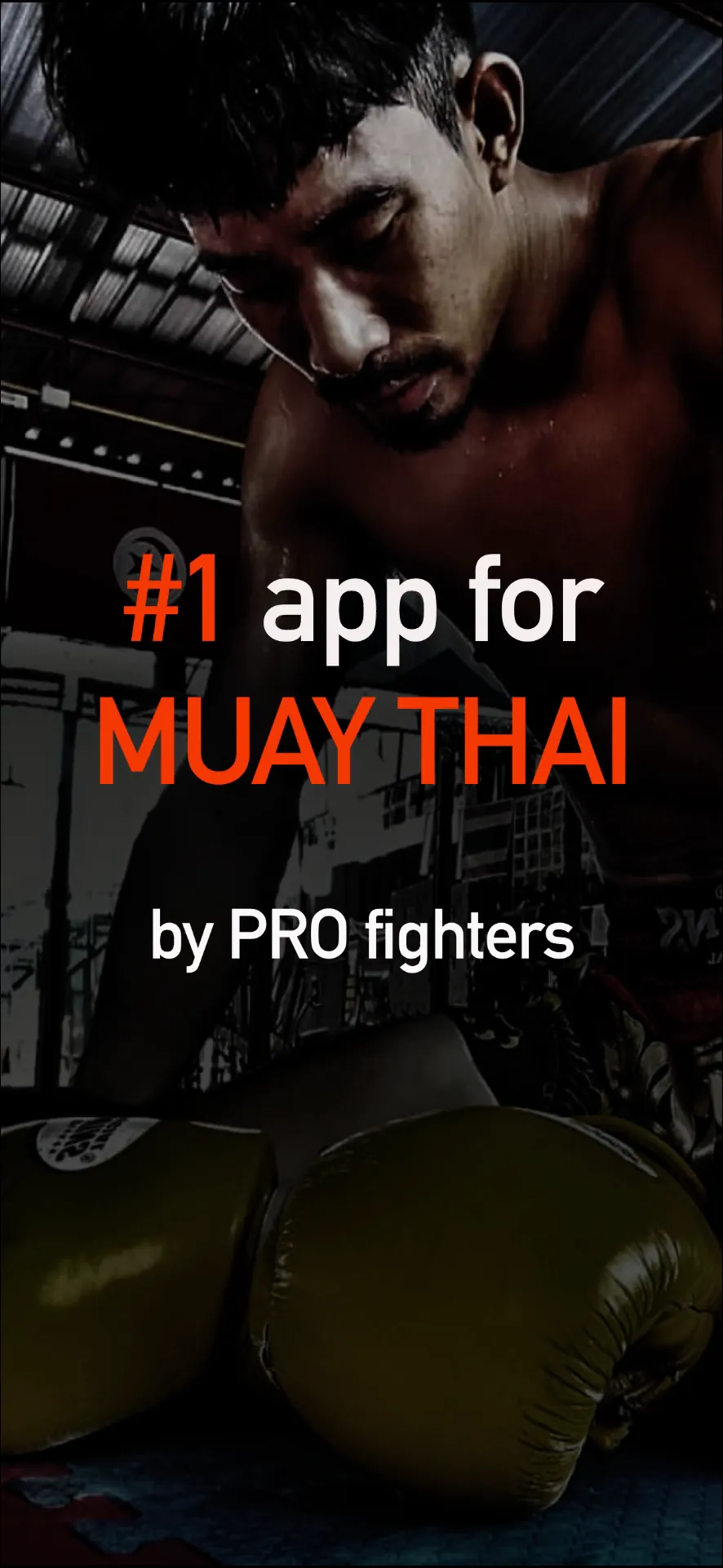 Muay Thai and Kickboxing iphone screenshot 1