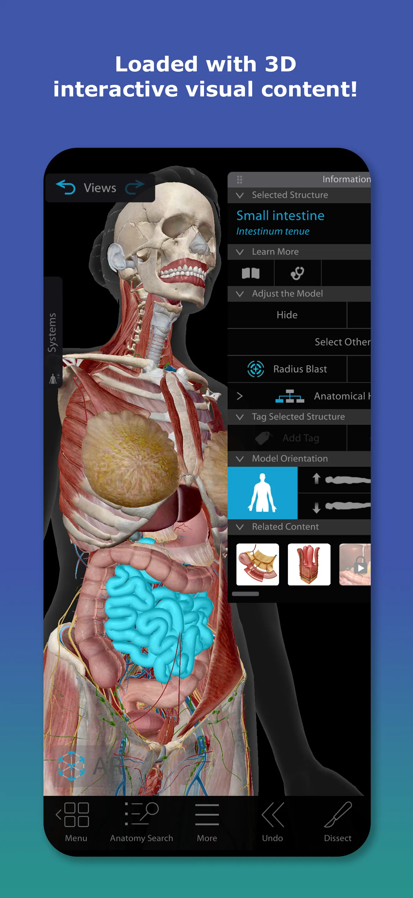 Human Anatomy Atlas 2026 iphone screenshot 2