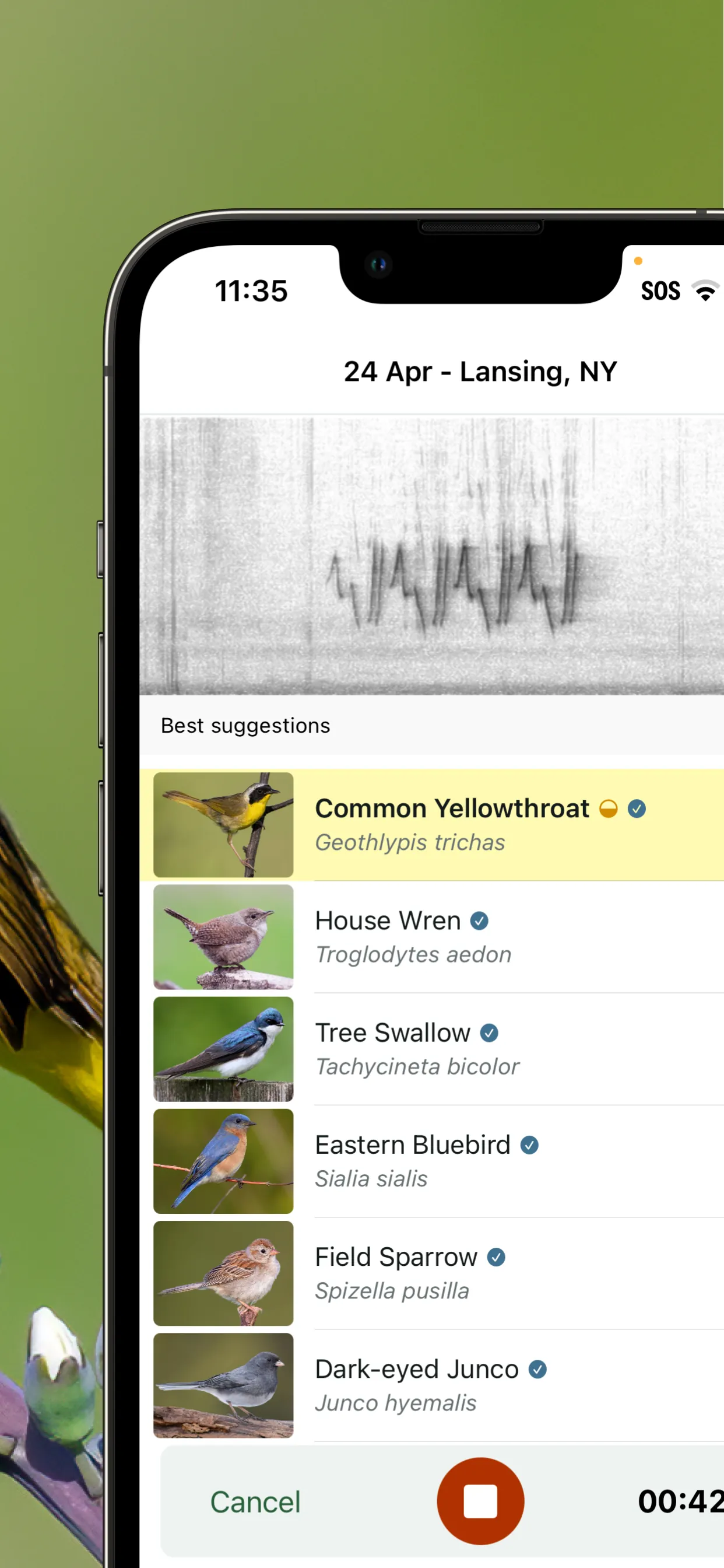Merlin Bird ID by Cornell Lab iphone screenshot 3