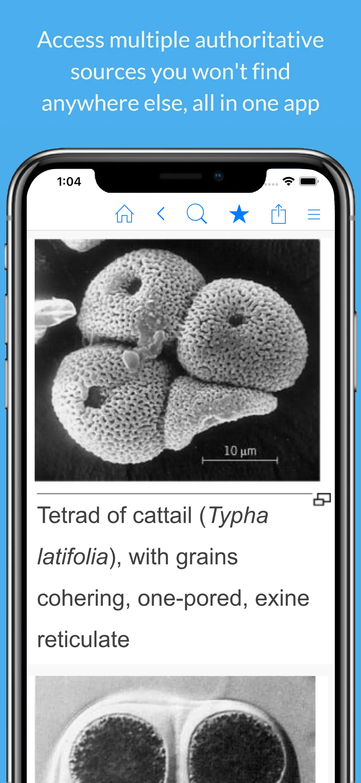 Science Dictionary by Farlex iphone screenshot 3