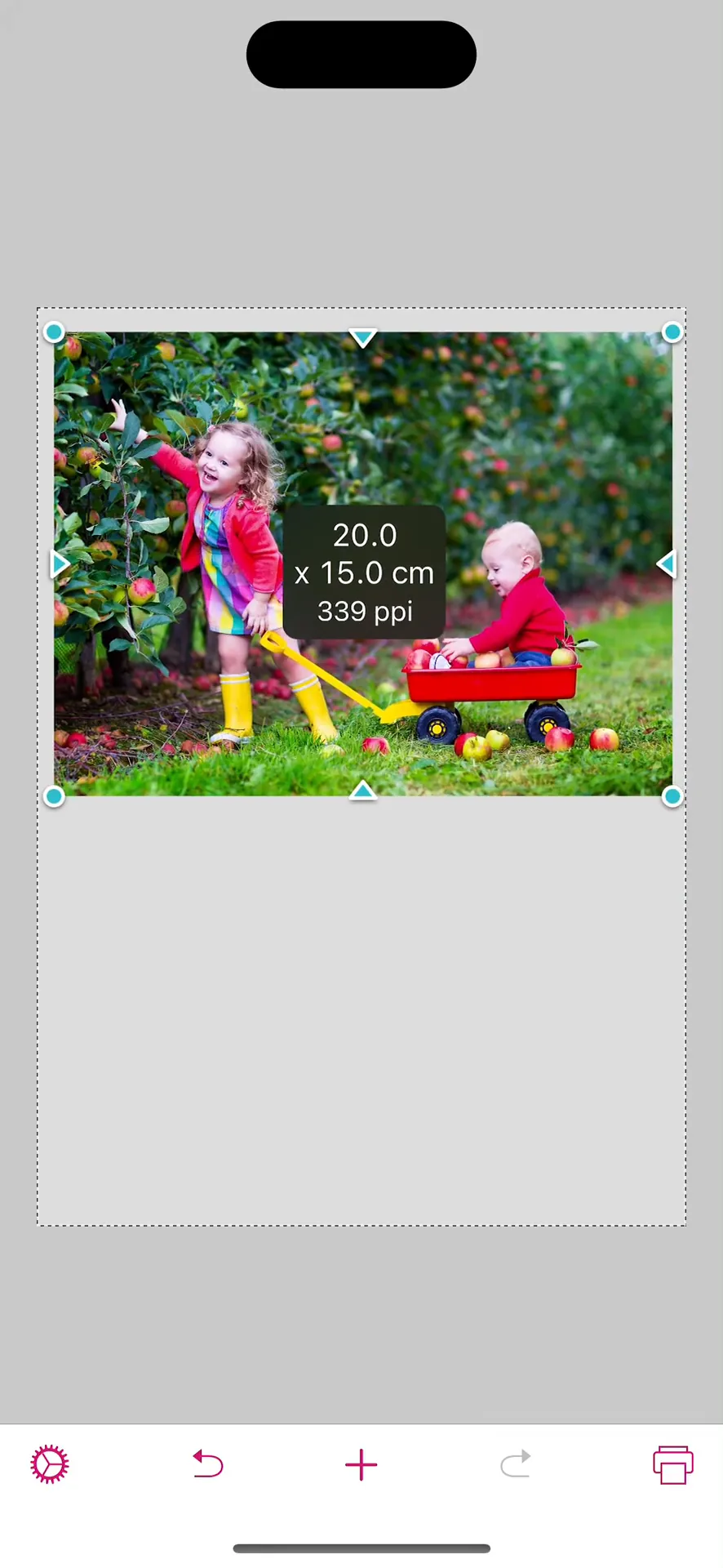 Print to Size iphone screenshot 1