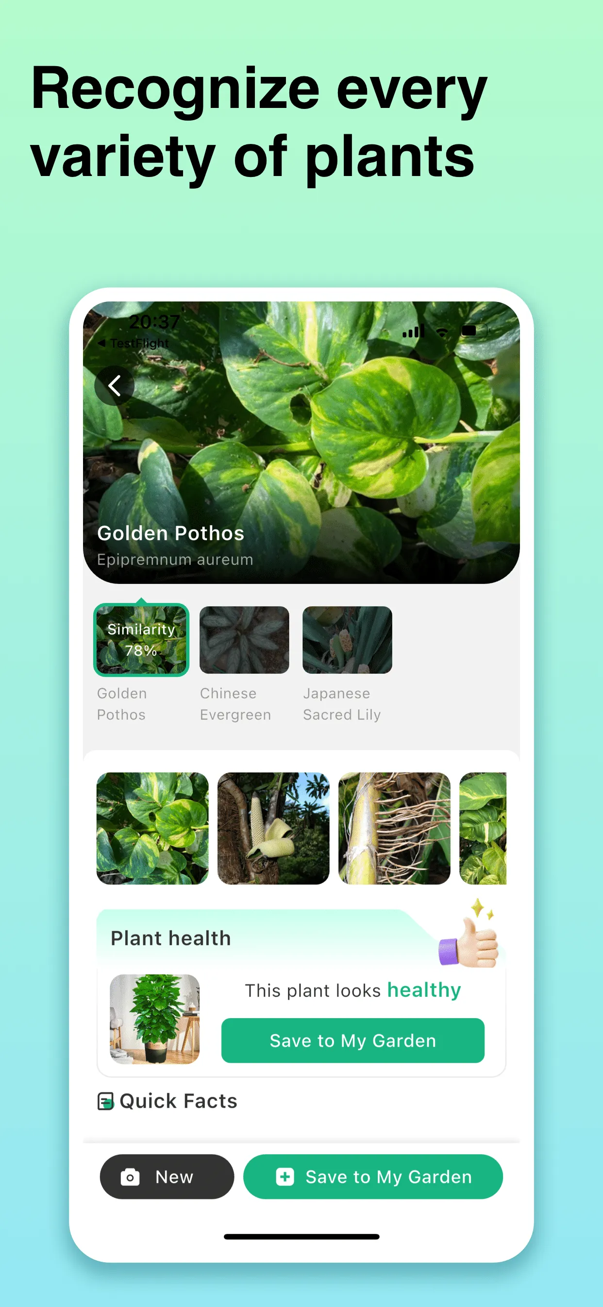 Plant Identifier: ChatPlant AI iphone screenshot 6