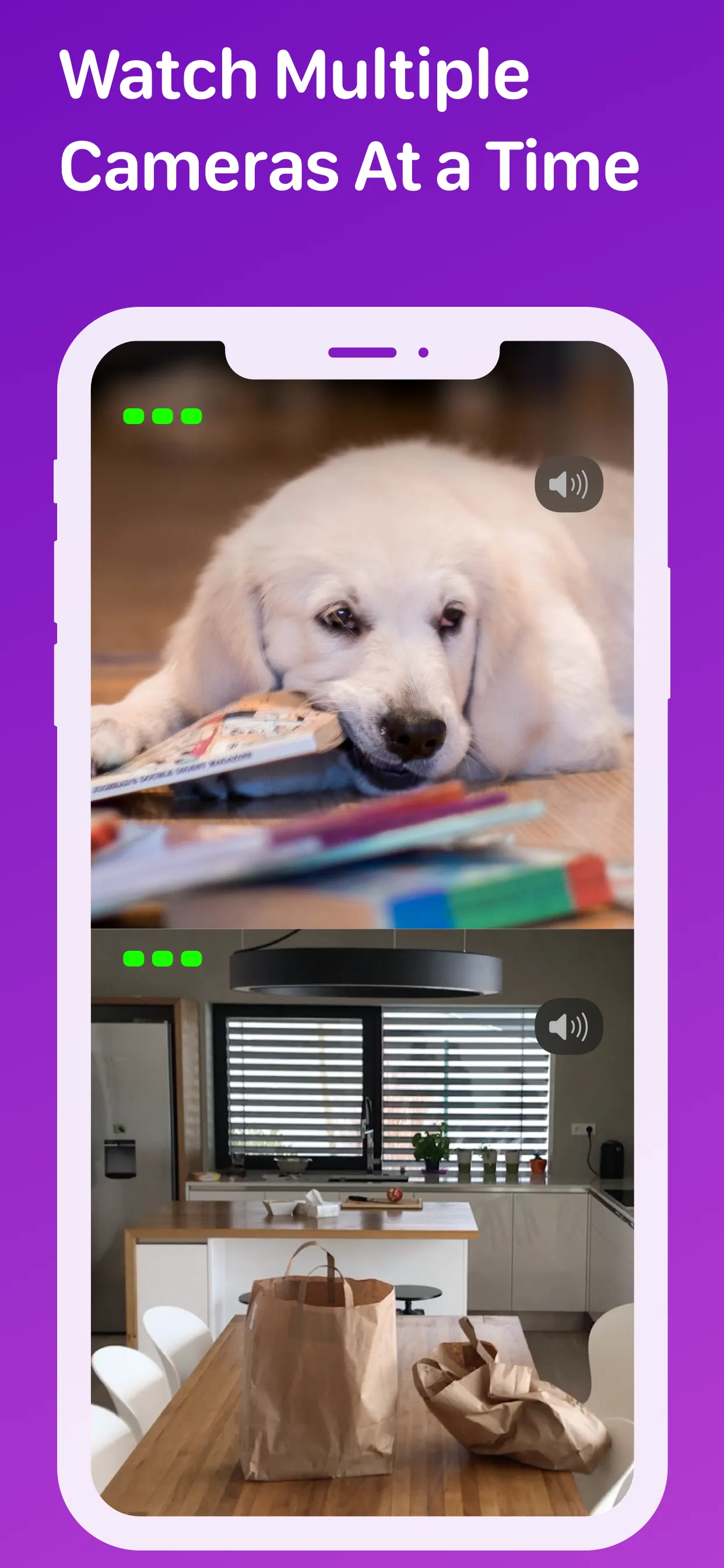 Pet Monitor VIGI iphone screenshot 7