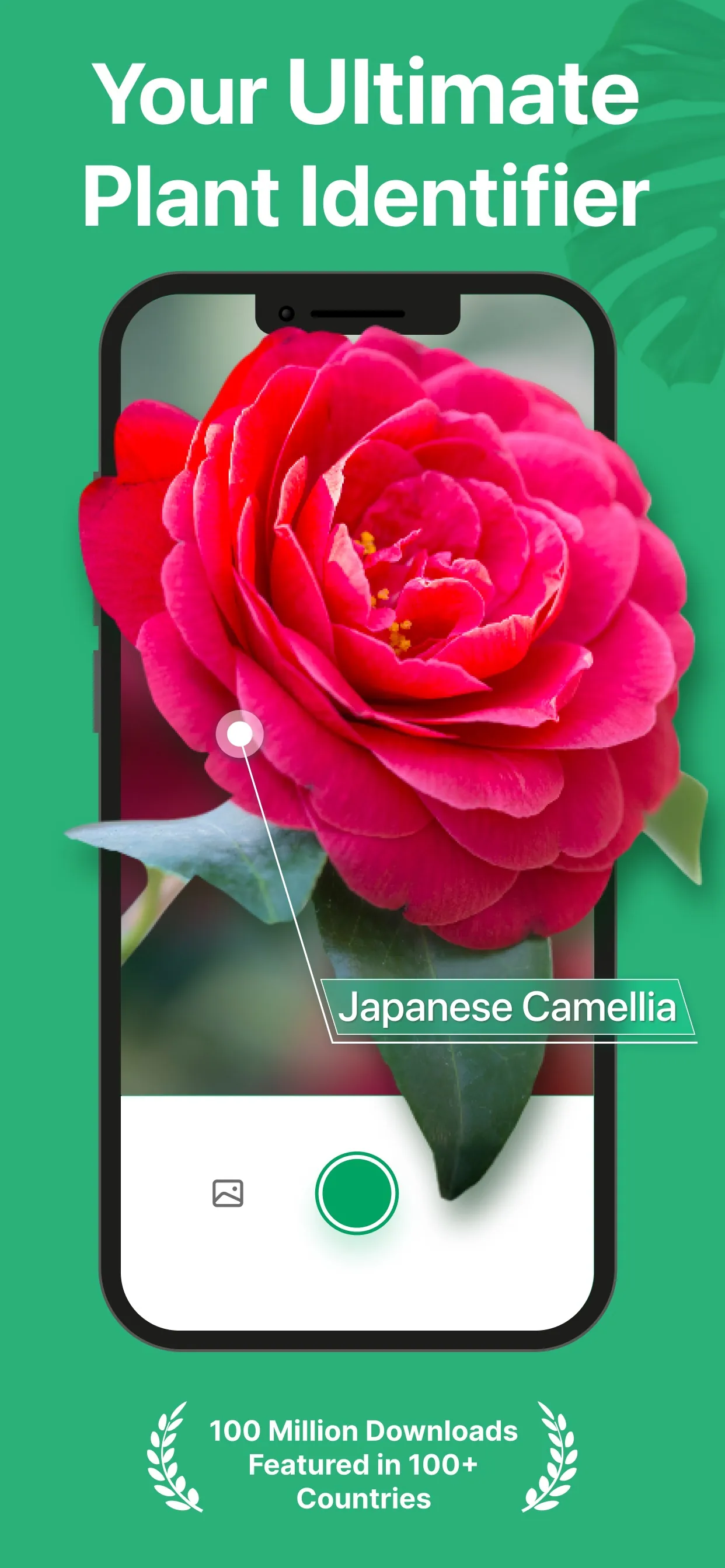 PictureThis - Plant Identifier iphone screenshot 1