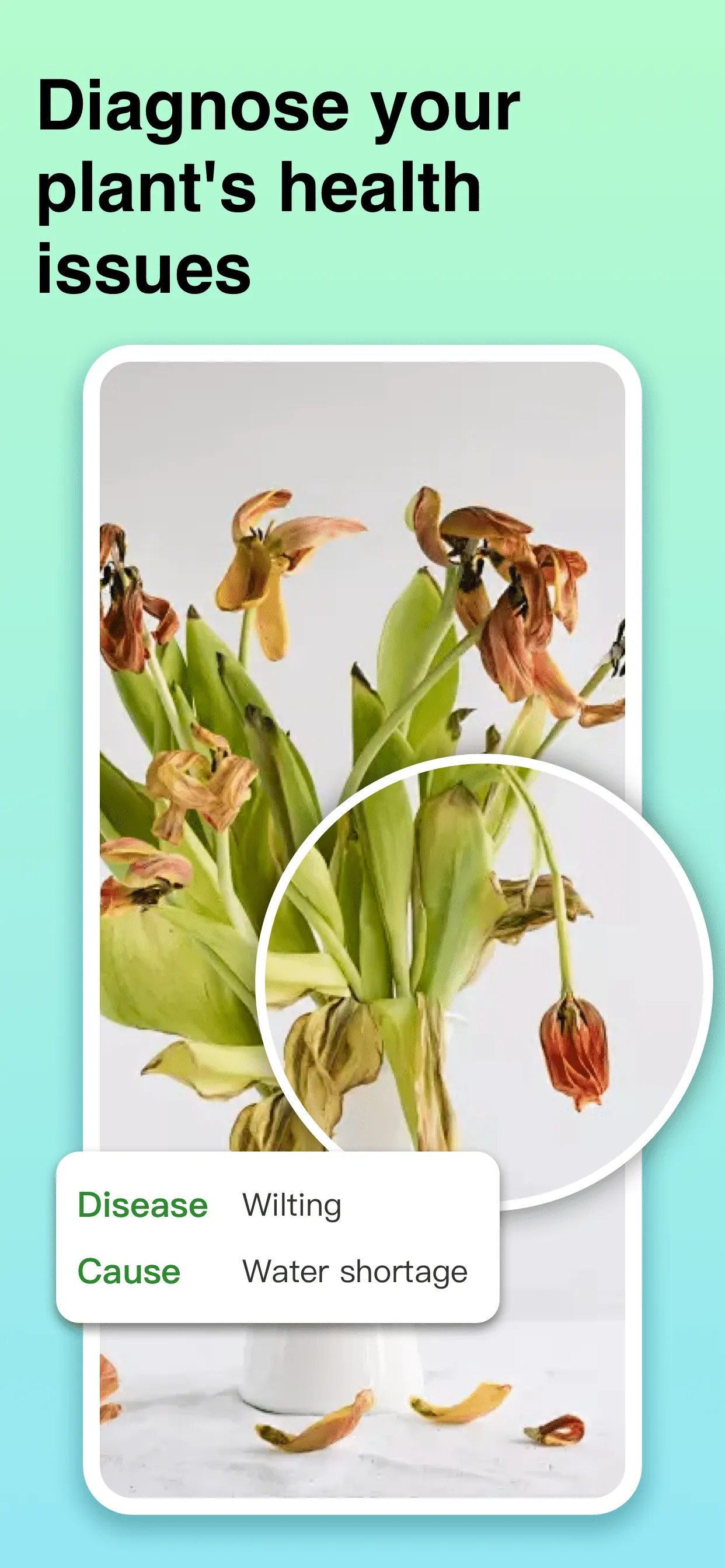 Plant Identifier: ChatPlant AI iphone screenshot 3