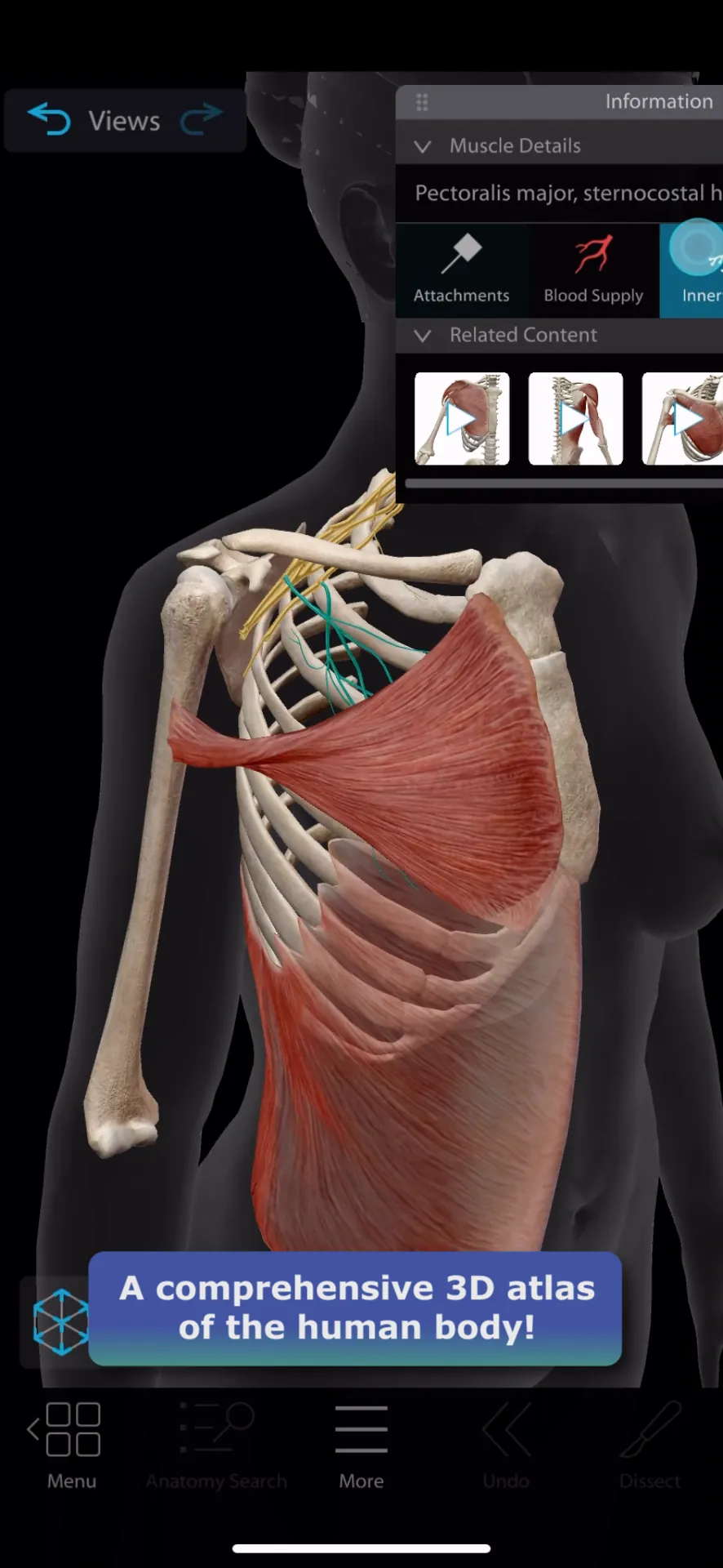 Human Anatomy Atlas 2026 iphone screenshot 1