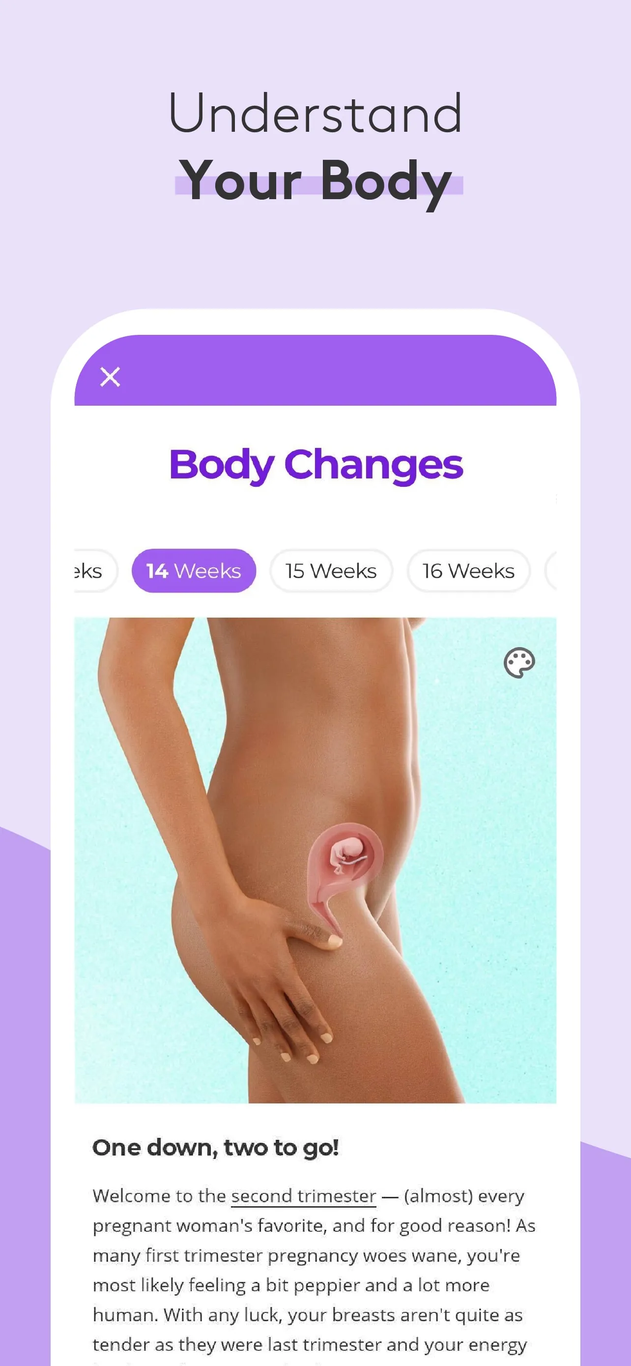 Pregnancy & Baby Tracker - WTE iphone screenshot 4
