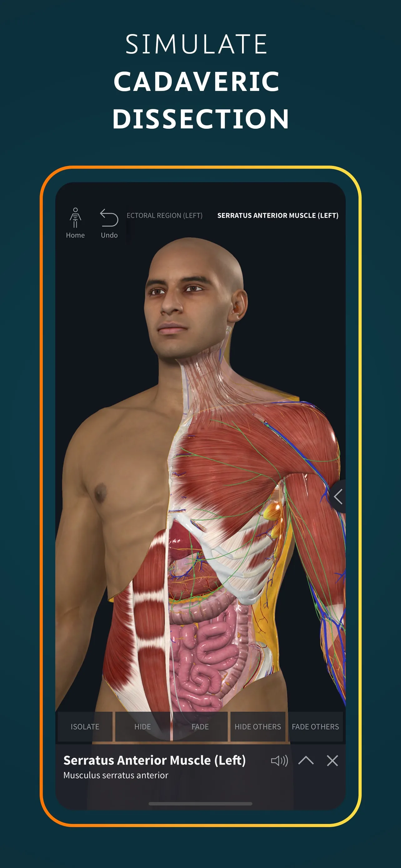 Complete Anatomy for iPhone iphone screenshot 3