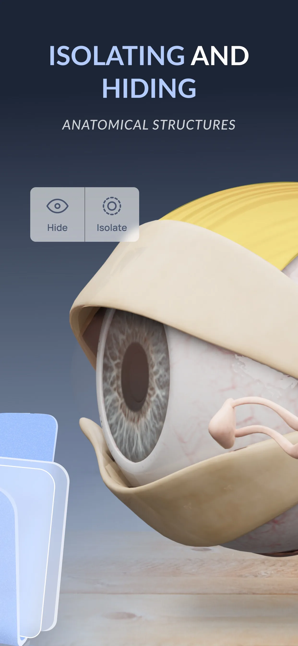 VOKA 3D Anatomy & Pathology iphone screenshot 5