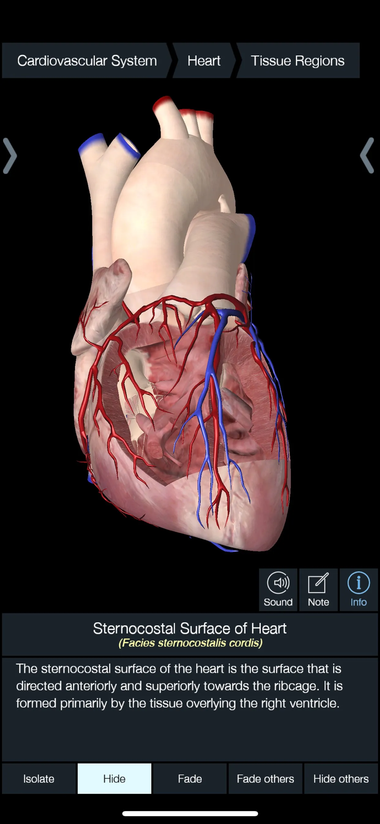 Essential Anatomy 5 iphone screenshot 5
