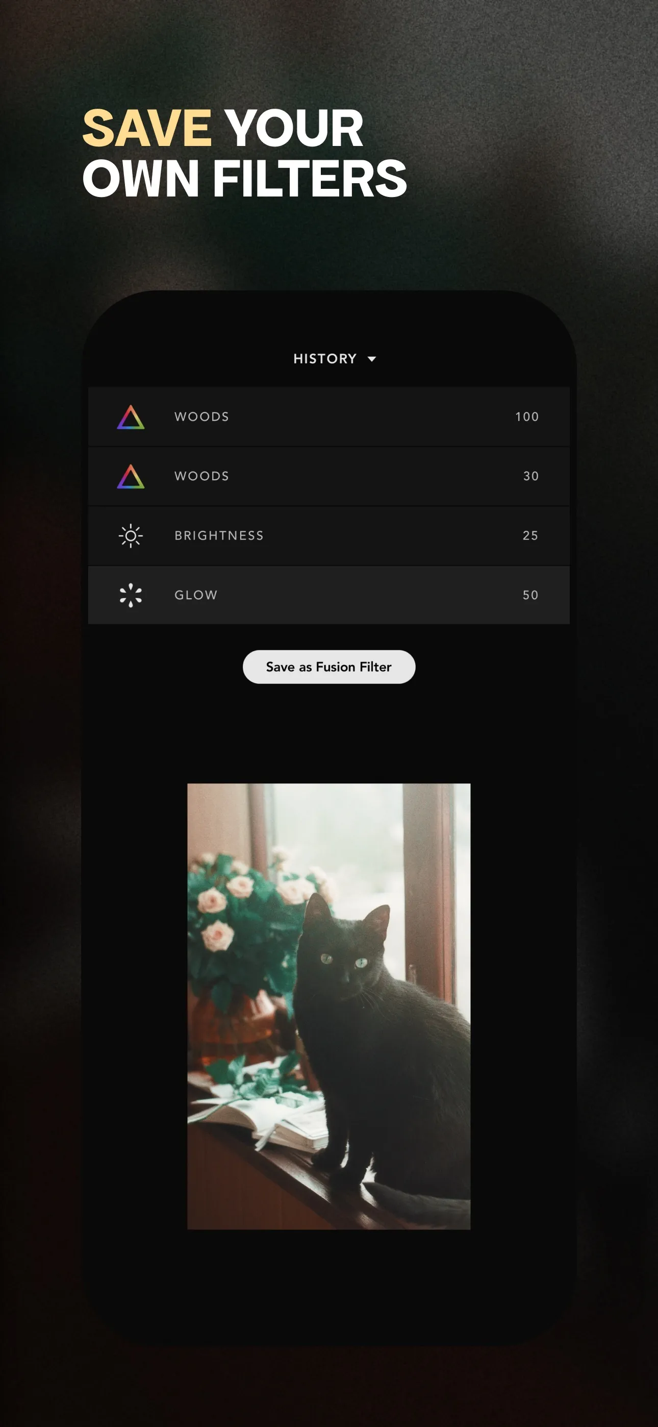 Afterlight: Film Photo Editor iphone screenshot 4