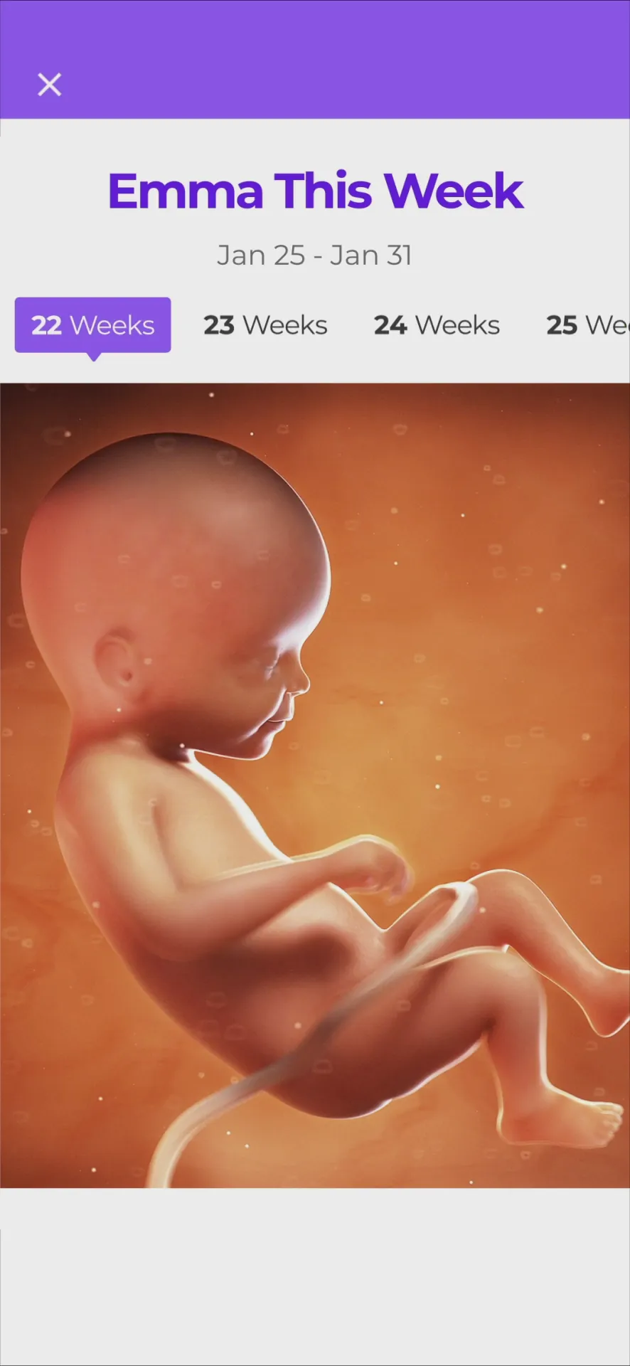 Pregnancy & Baby Tracker - WTE iphone screenshot 1