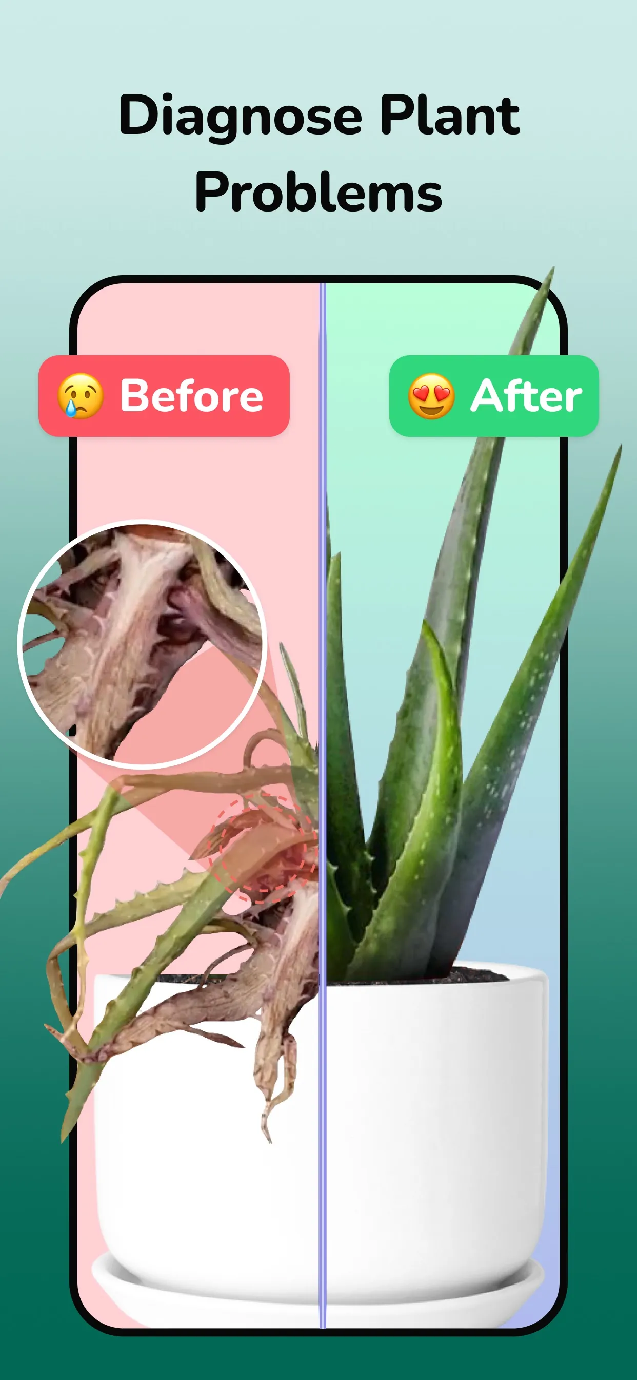 Plantfie・Plant Care Identifier iphone screenshot 2