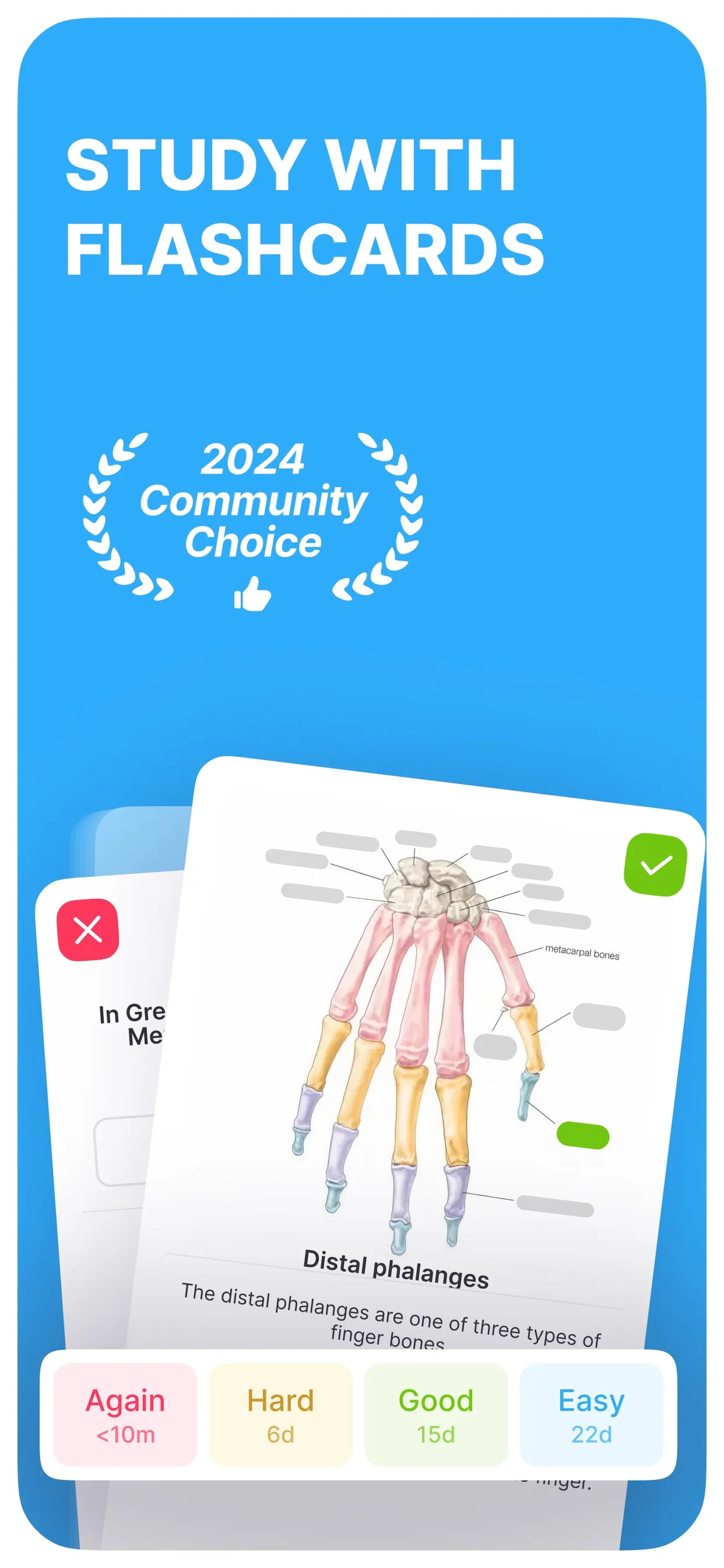 Noji: Flashcards Learning iphone screenshot 1