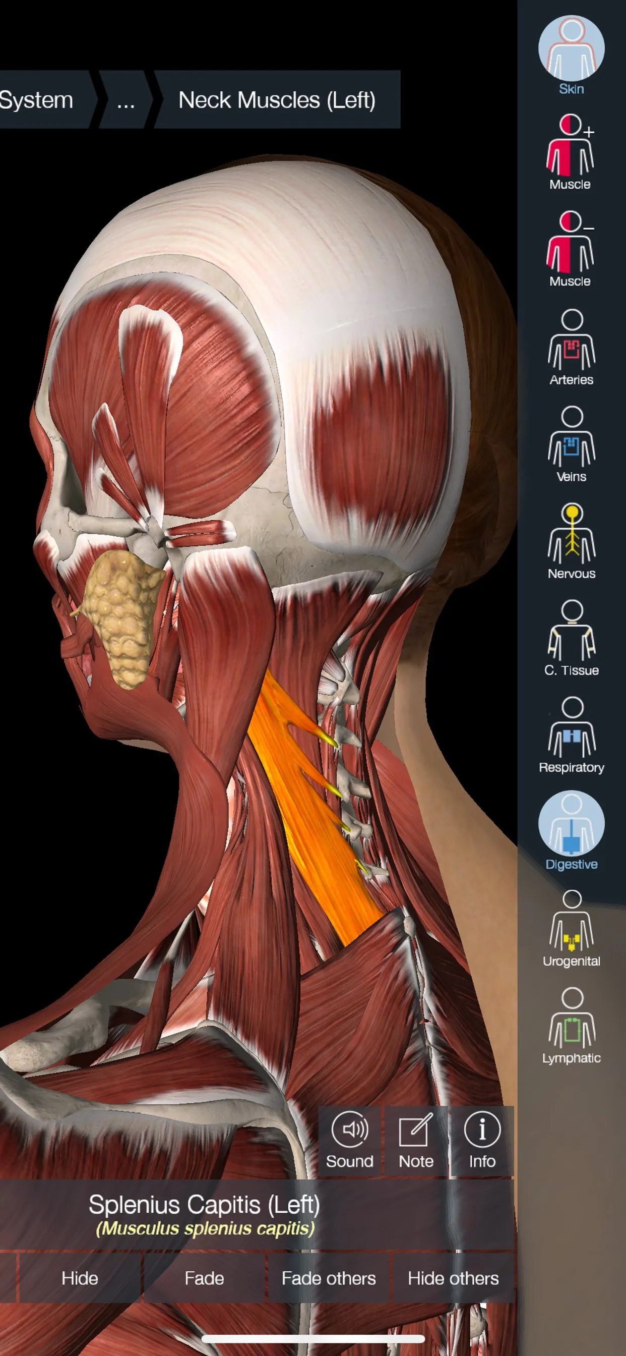 Essential Anatomy 5 iphone screenshot 3
