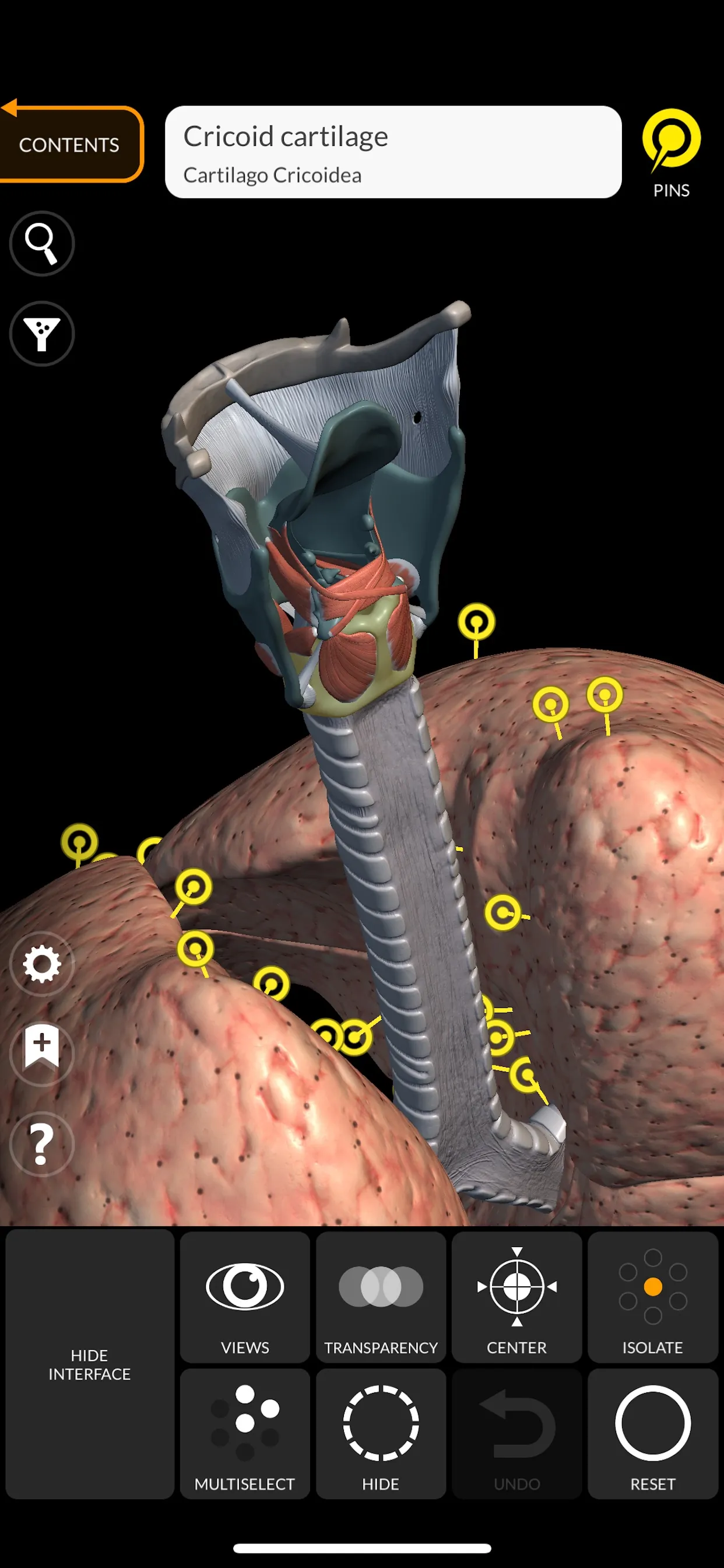 Anatomy 3D Atlas iphone screenshot 10