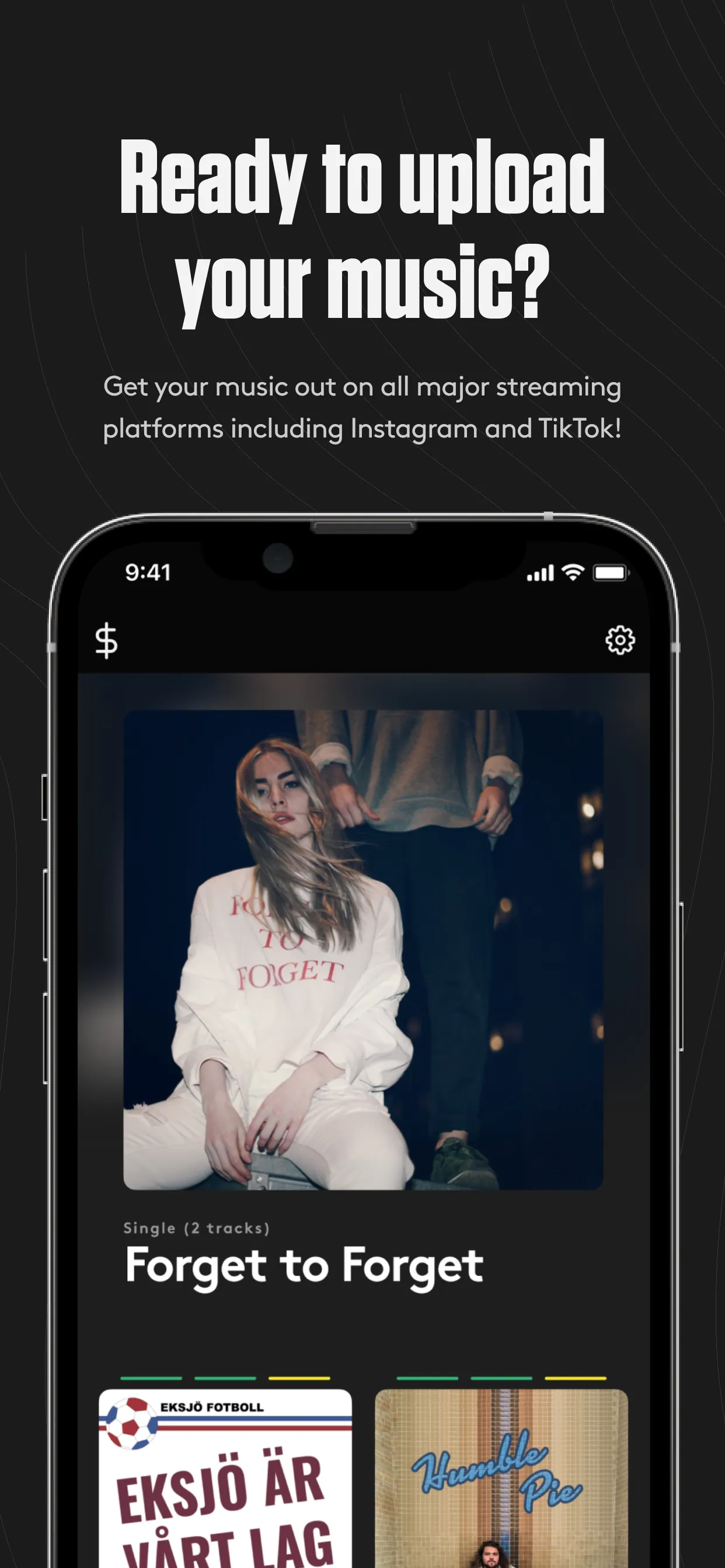 Amuse Music Distribution iphone screenshot 1