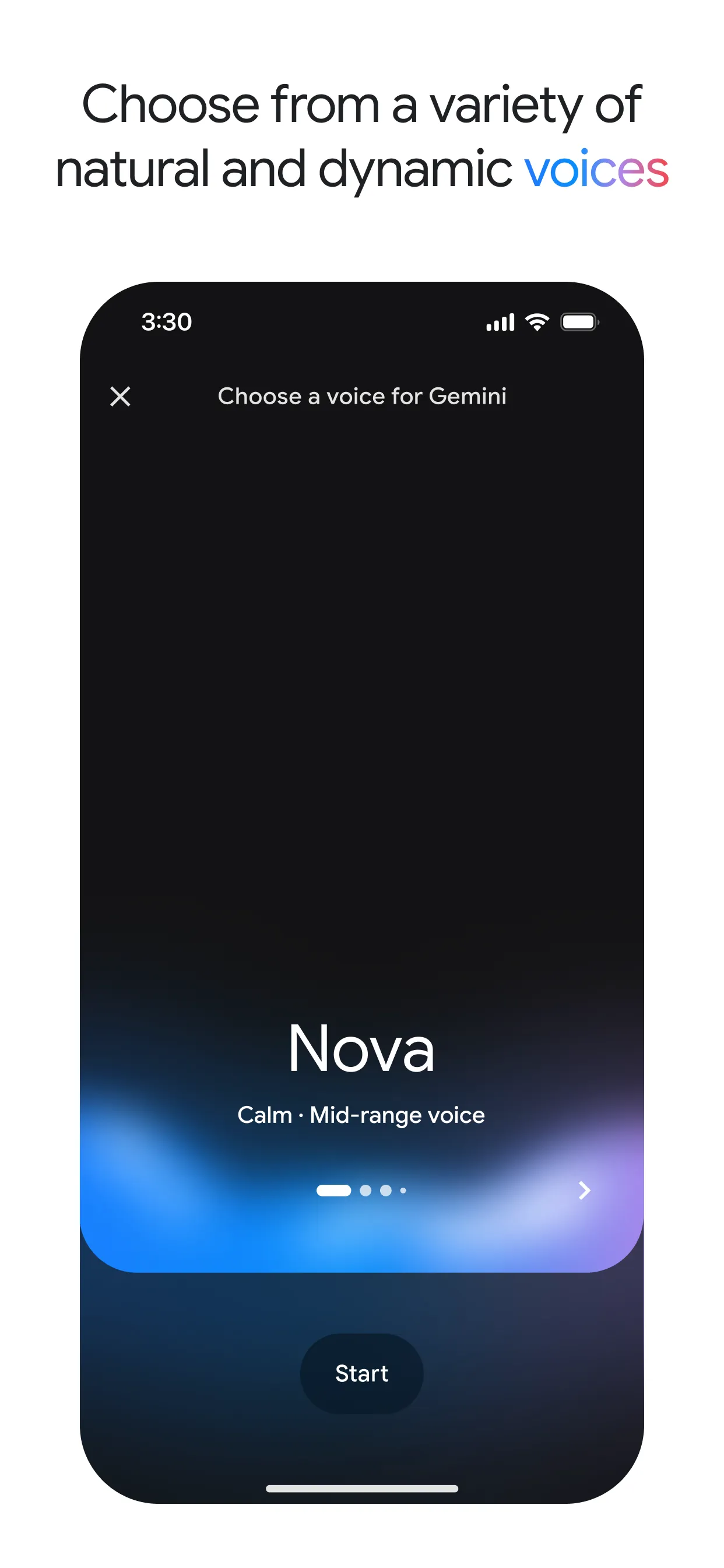 Google Gemini iphone screenshot 7