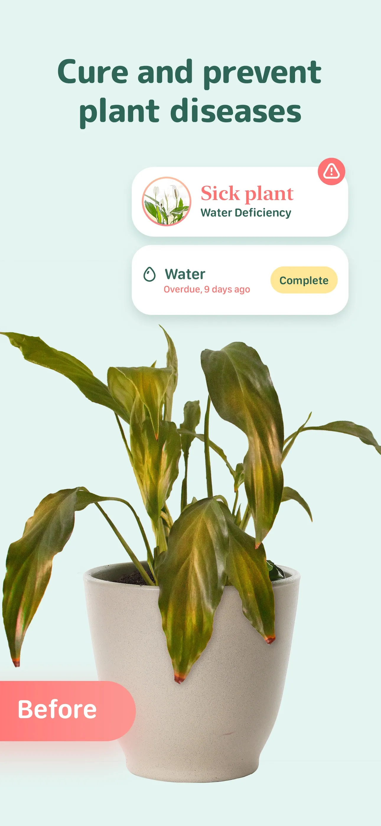 Blossom - Plant Care Guide iphone screenshot 1