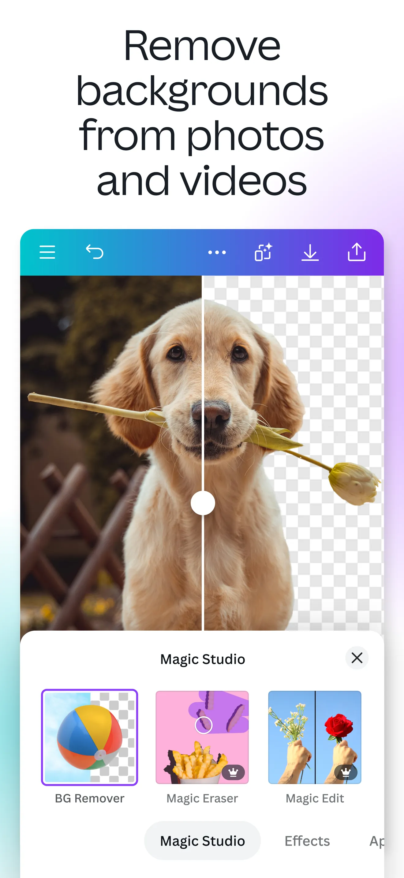 Canva: AI Photo & Video Editor iphone screenshot 5