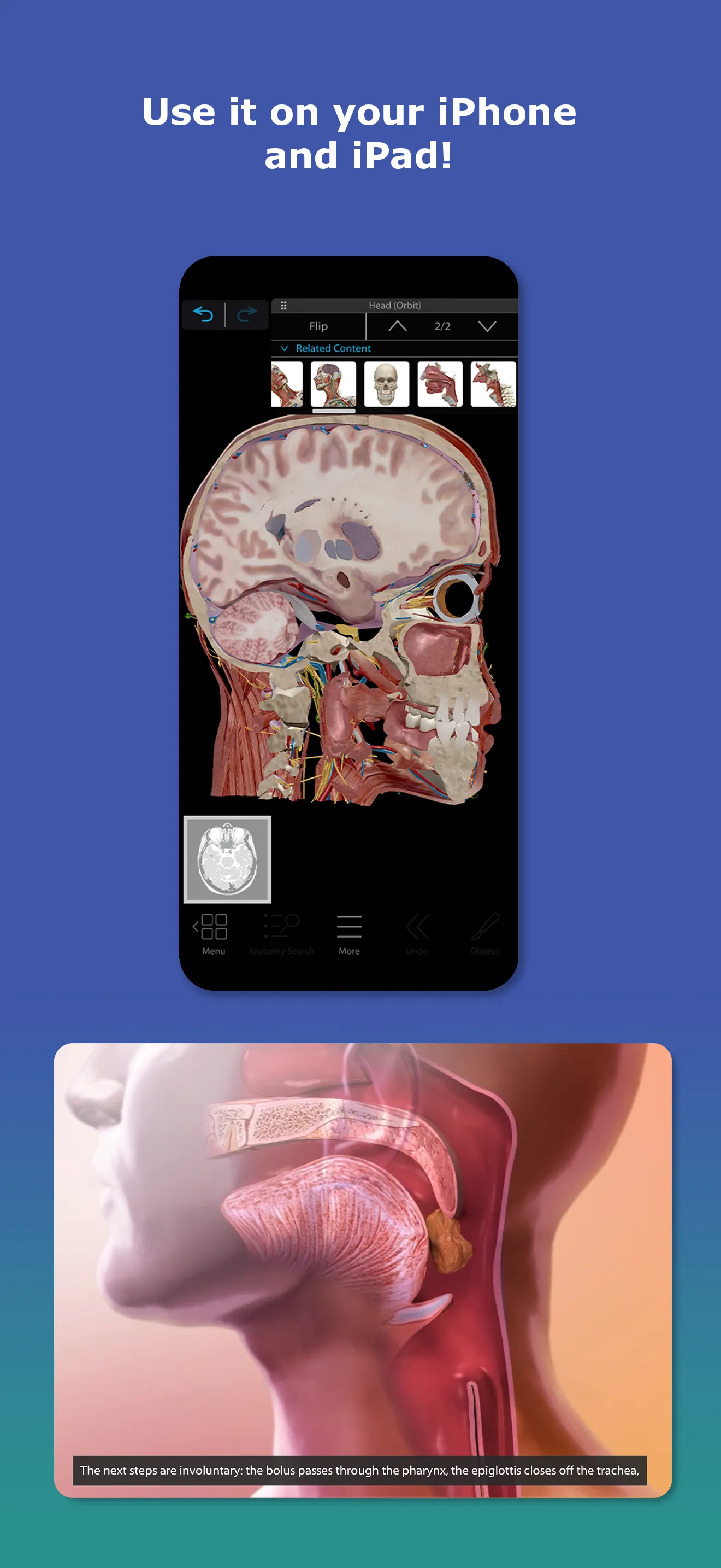 Human Anatomy Atlas 2026 iphone screenshot 7
