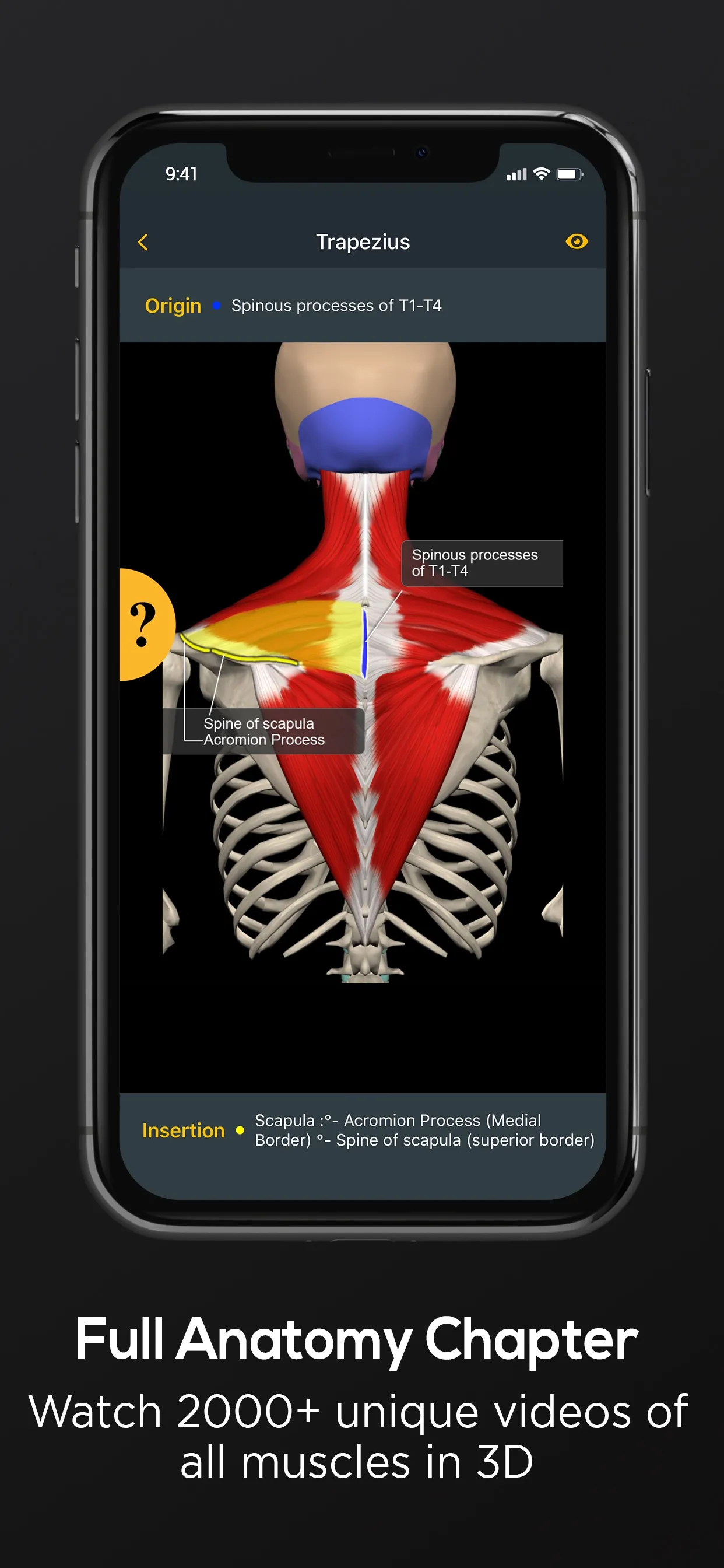 Posture by Muscle & Motion iphone screenshot 7