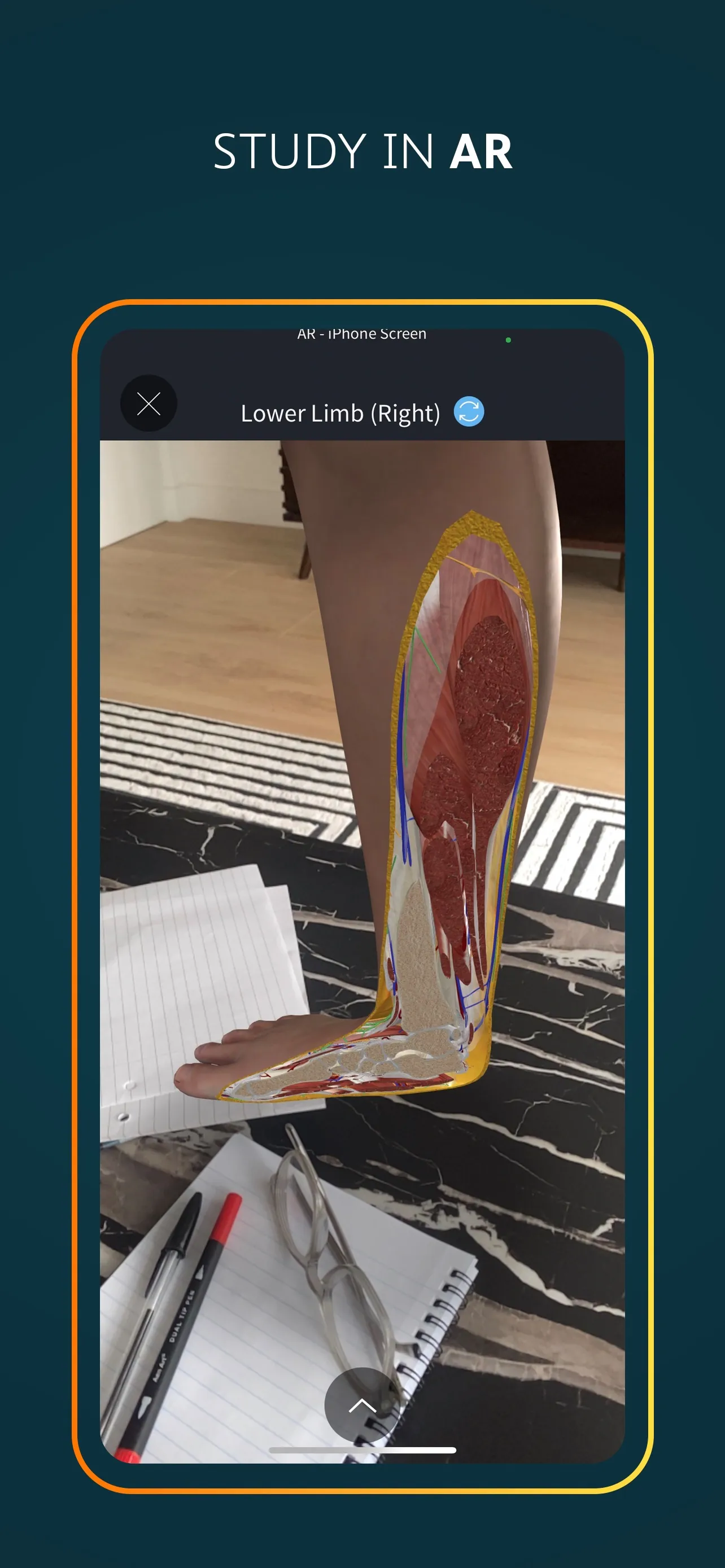 Complete Anatomy for iPhone iphone screenshot 6