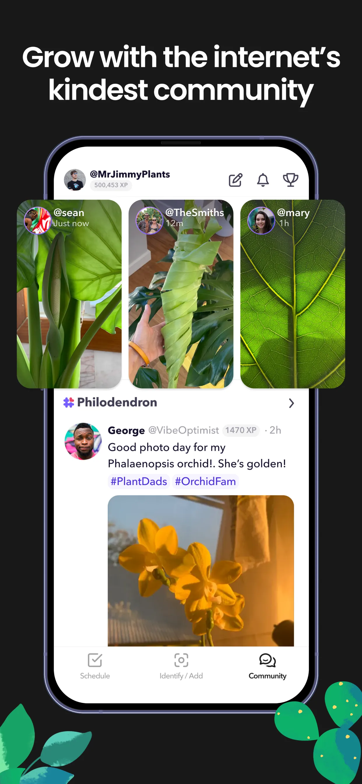 Greg: Plant Identifier & Care iphone screenshot 7