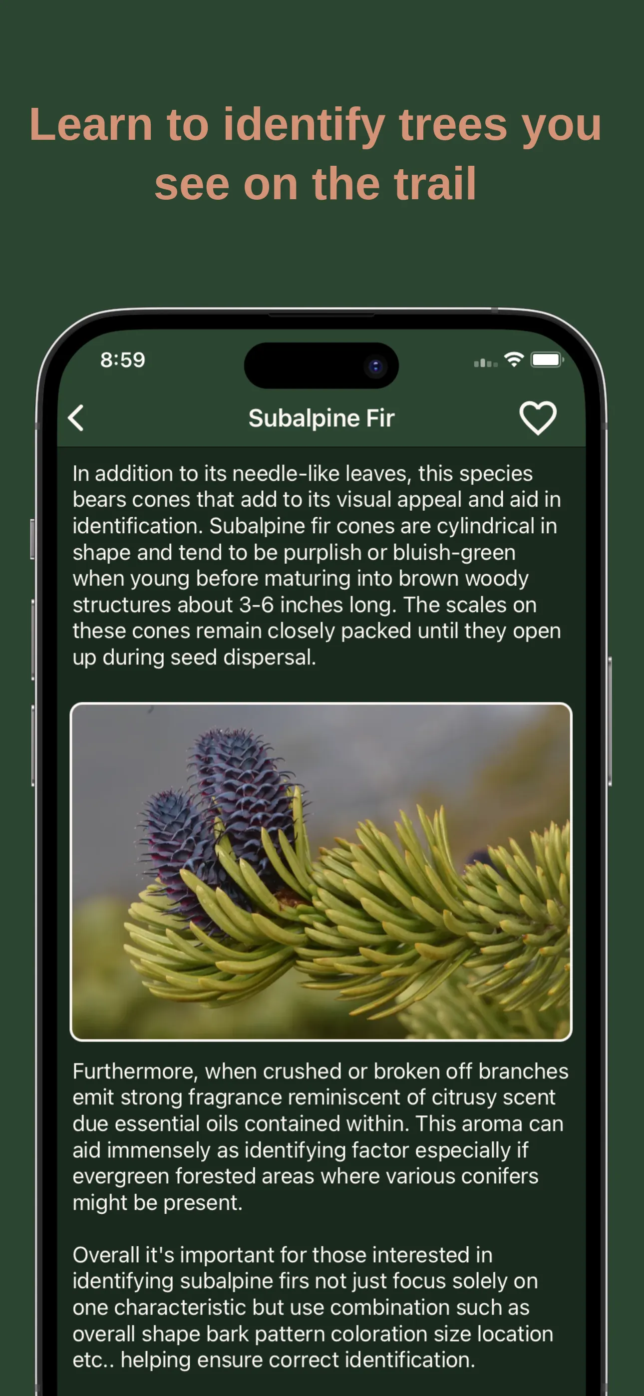 Camping Companion: Camp Guide iphone screenshot 1