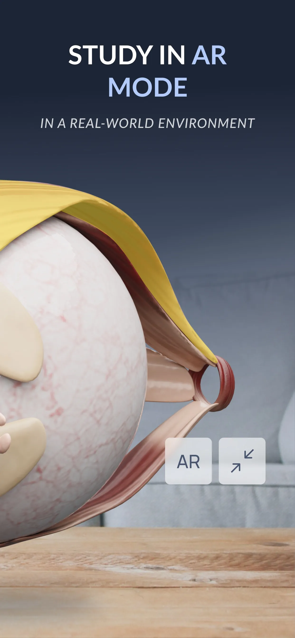VOKA 3D Anatomy & Pathology iphone screenshot 6