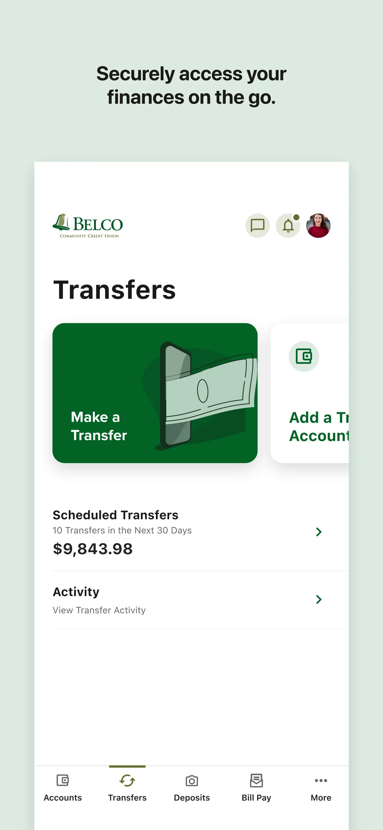 Belco Money Manager iphone screenshot 2