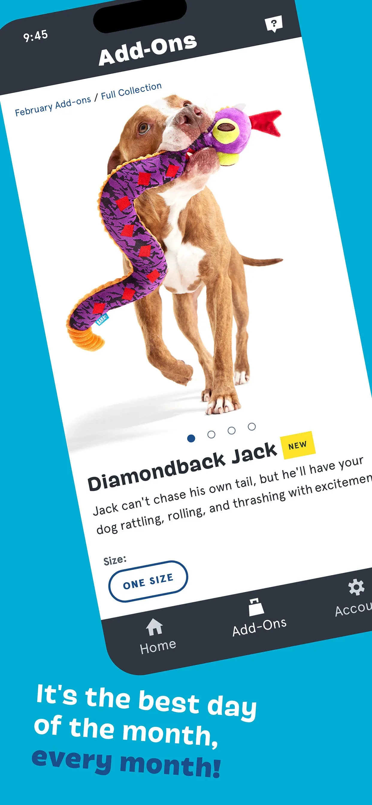 BARK - BarkBox, Super Chewer iphone screenshot 4
