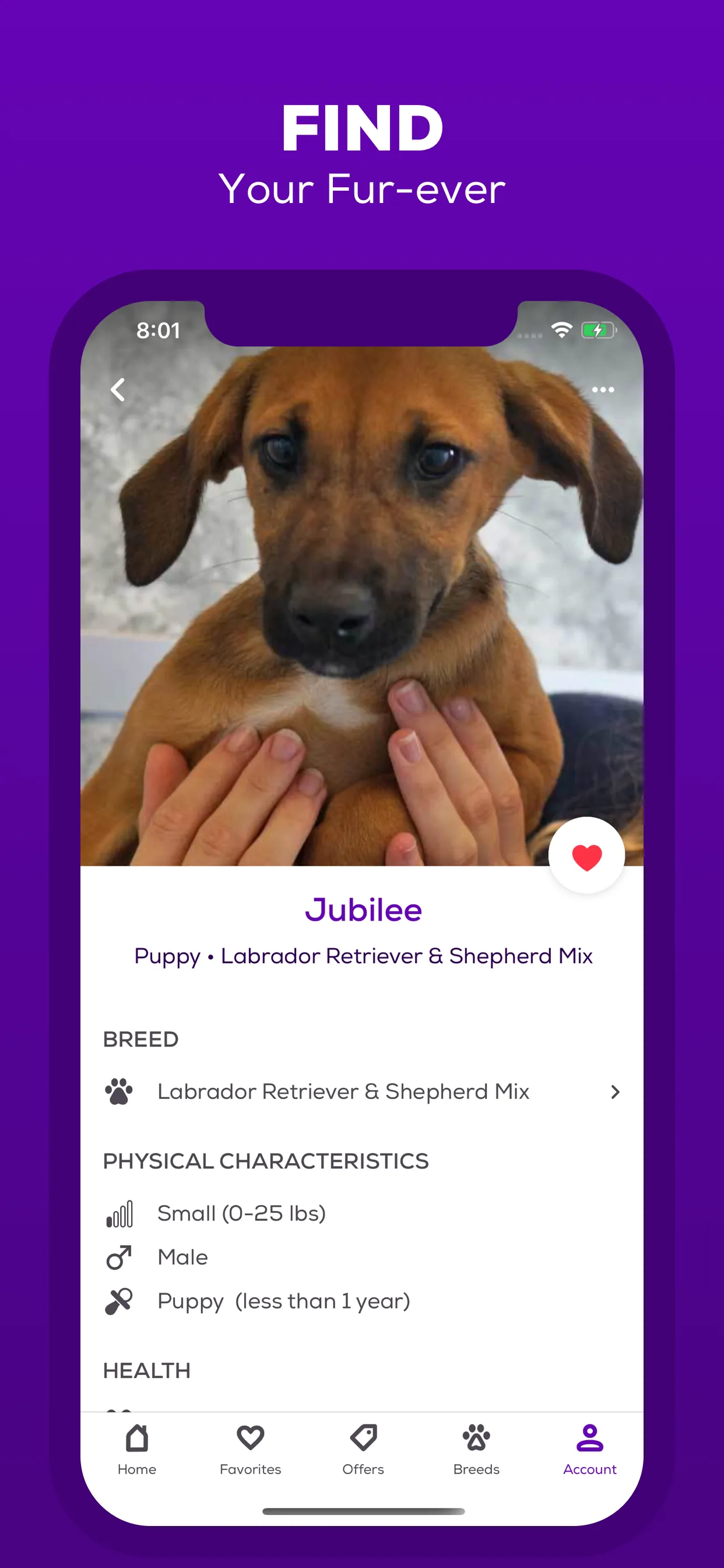 Petfinder - Adopt a Pet iphone screenshot 6