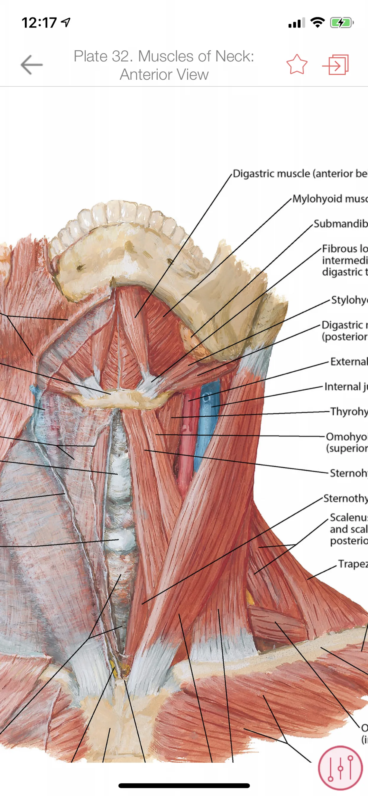Anatomy Atlas, USMLE, Clinical iphone screenshot 4