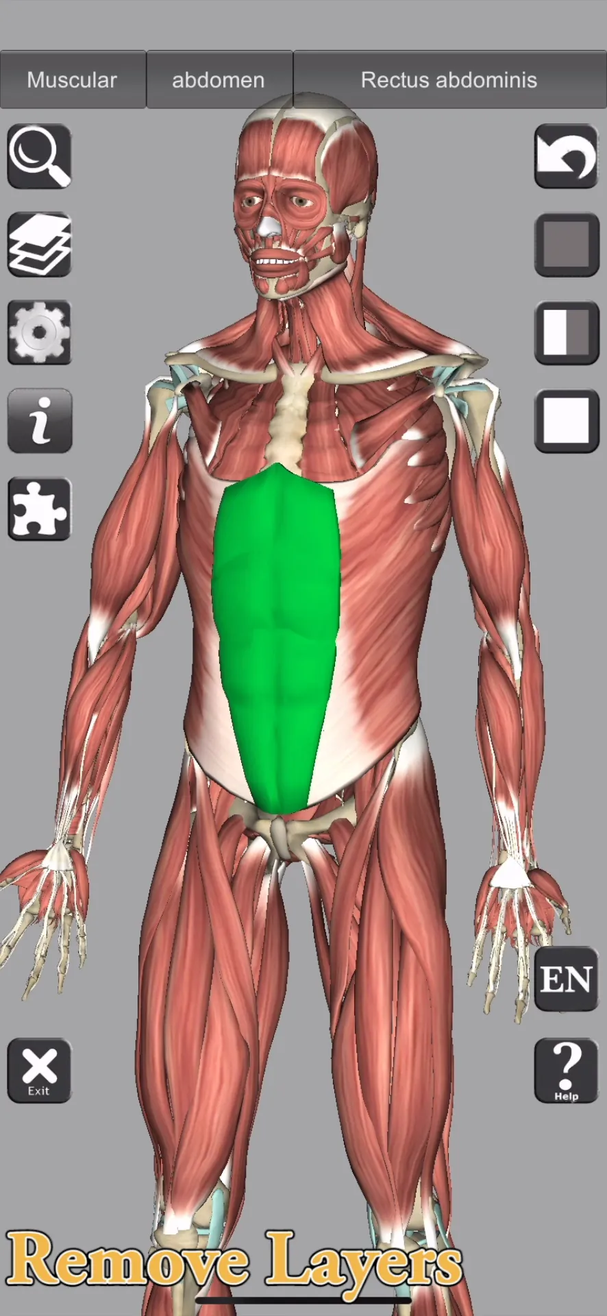 3D Bones and Muscles (Anatomy) iphone screenshot 1