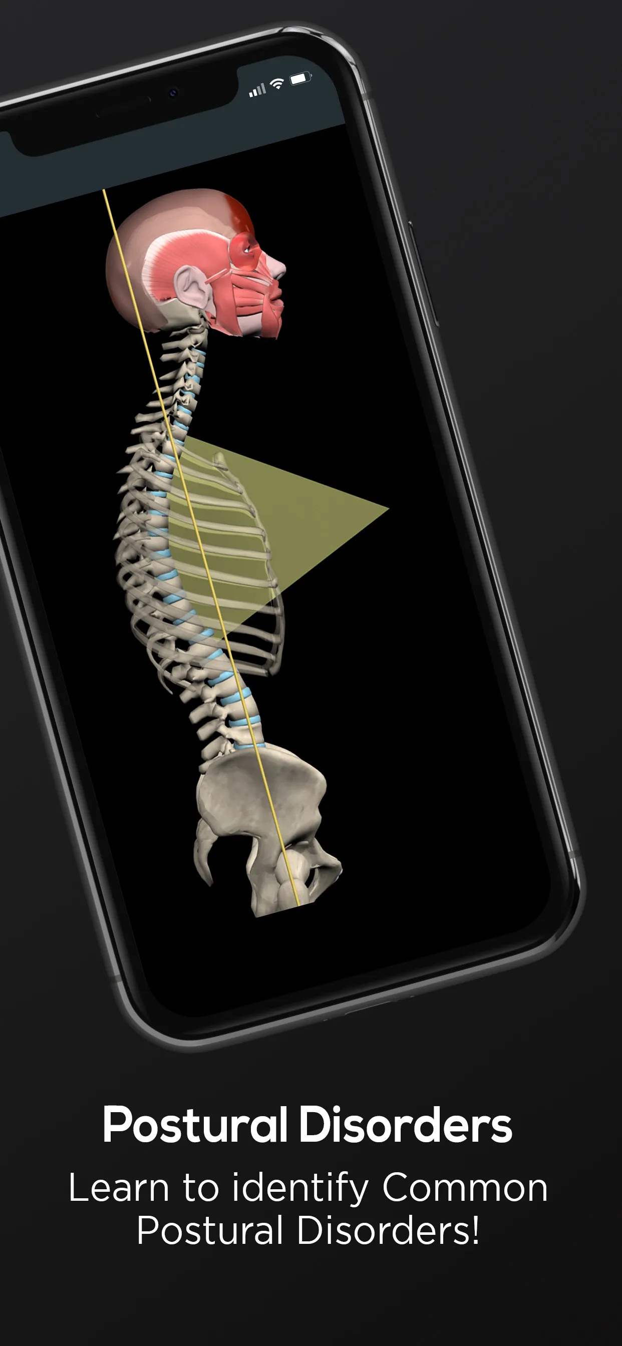 Posture by Muscle & Motion iphone screenshot 4