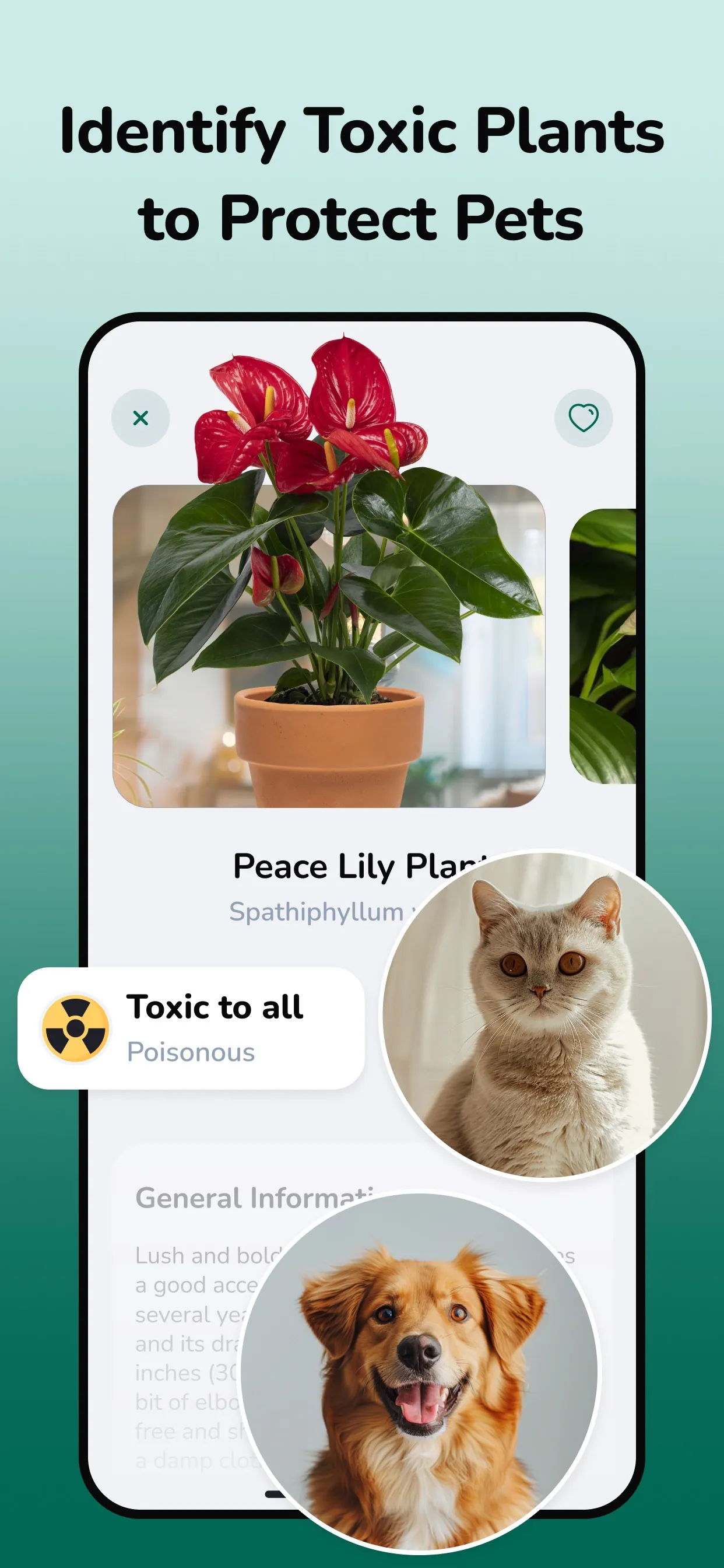 Plantfie・Plant Care Identifier iphone screenshot 7