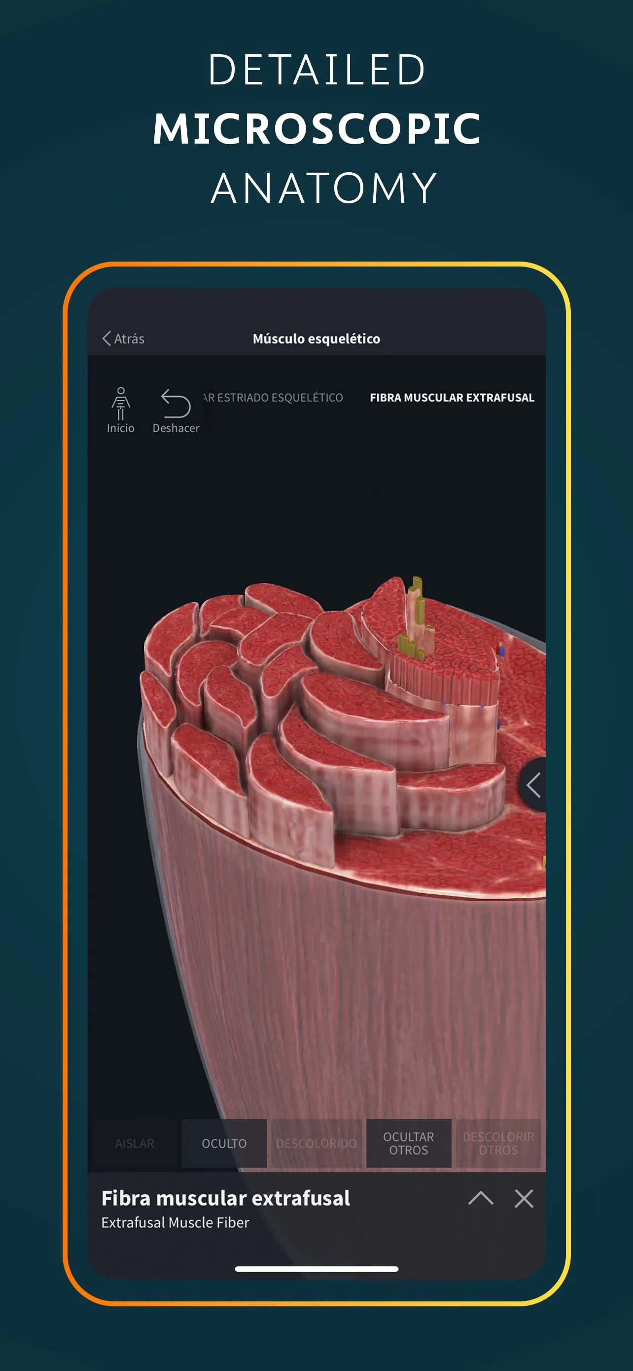 Complete Anatomy for iPhone iphone screenshot 9