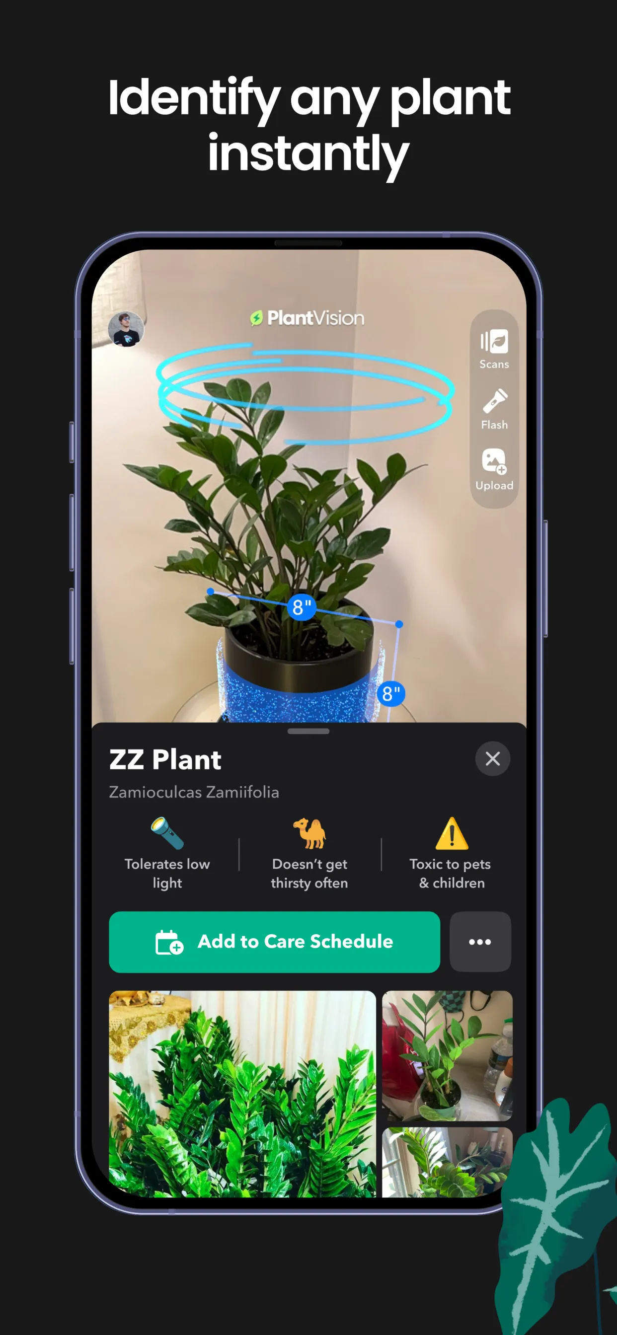 Greg: Plant Identifier & Care iphone screenshot 3