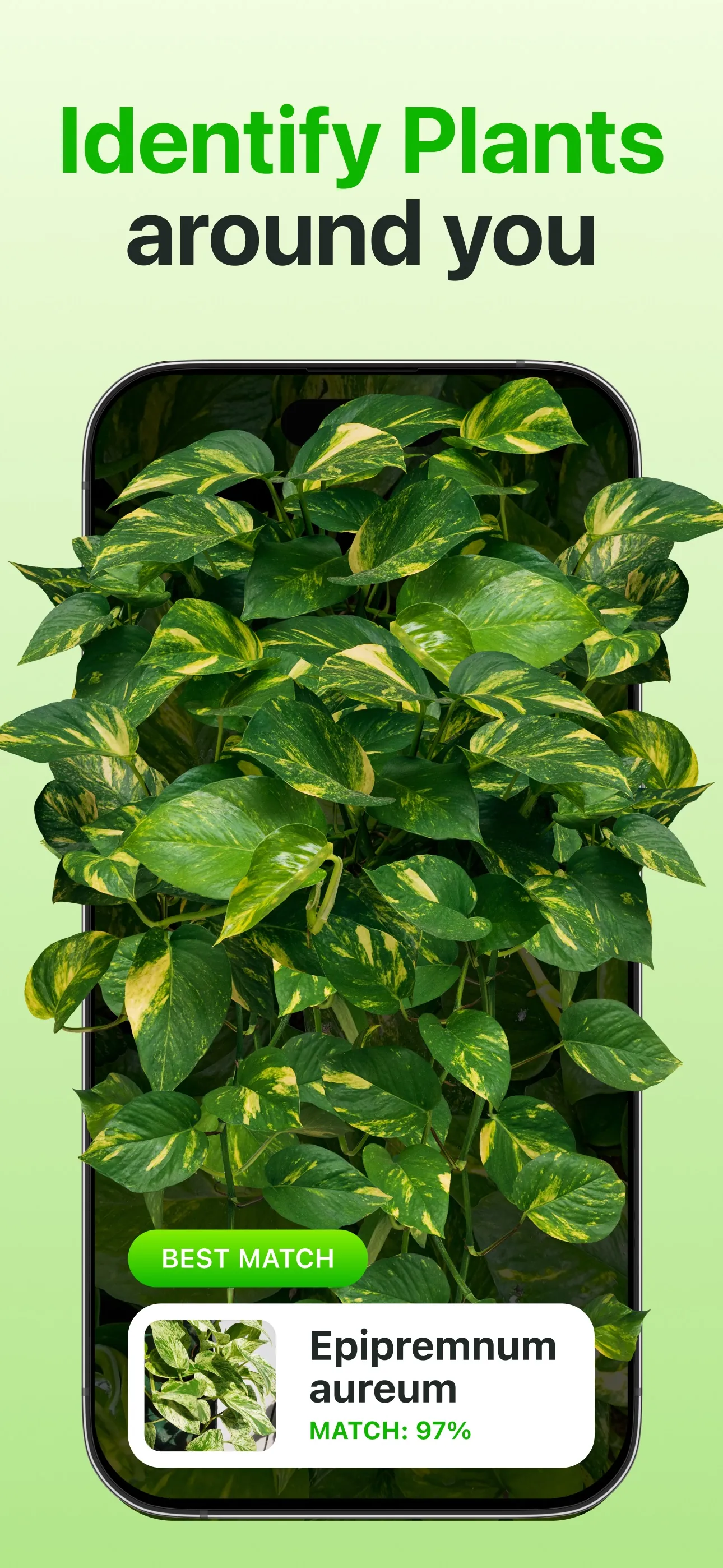 Plant Identifier & Care App iphone screenshot 1